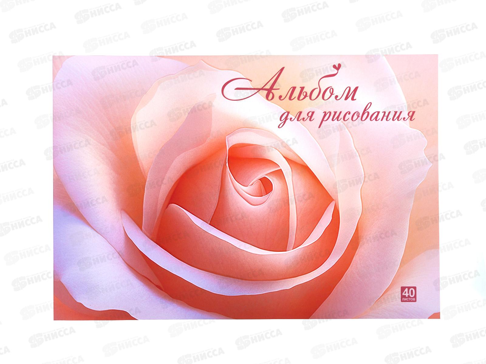 Альбом д/рис.40л Lamark Персиковая нежность офсет, склейка 90463 *25