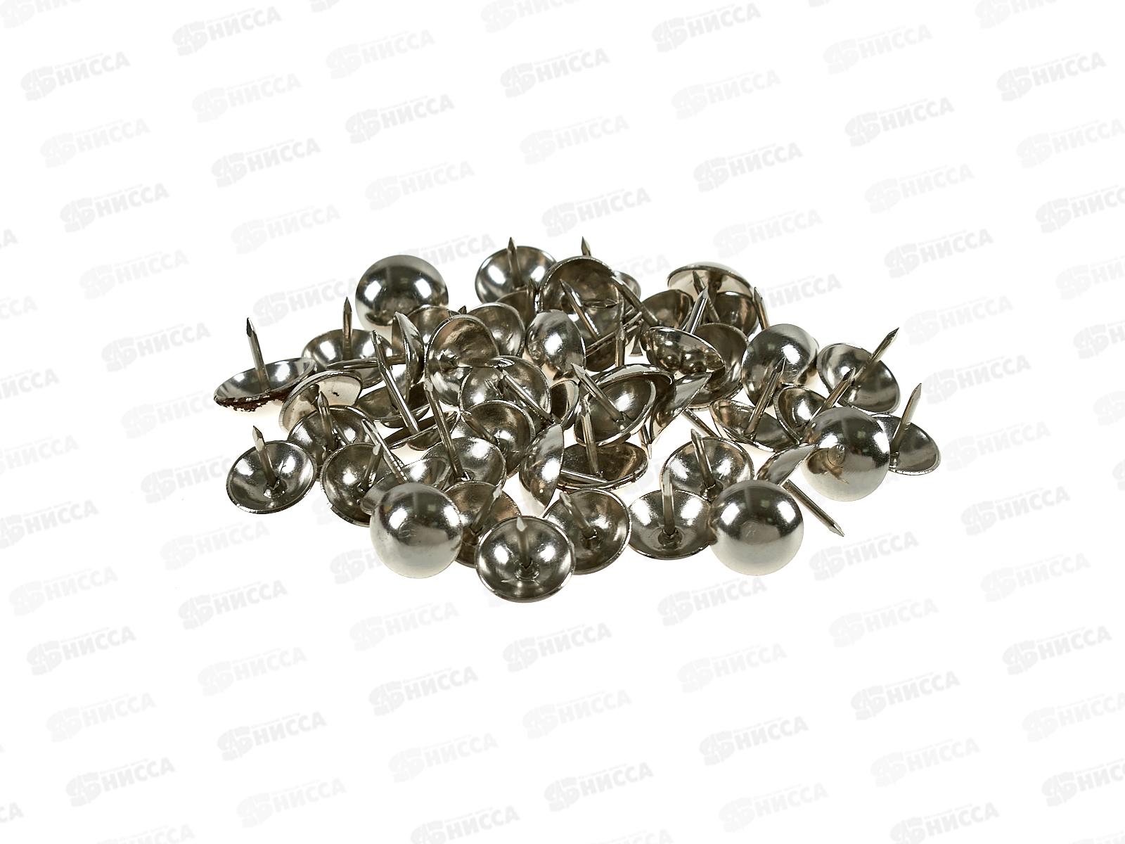 Гвоздь декор 1,2х12 хром 50шт ДГХ-1212    *10/100   ш