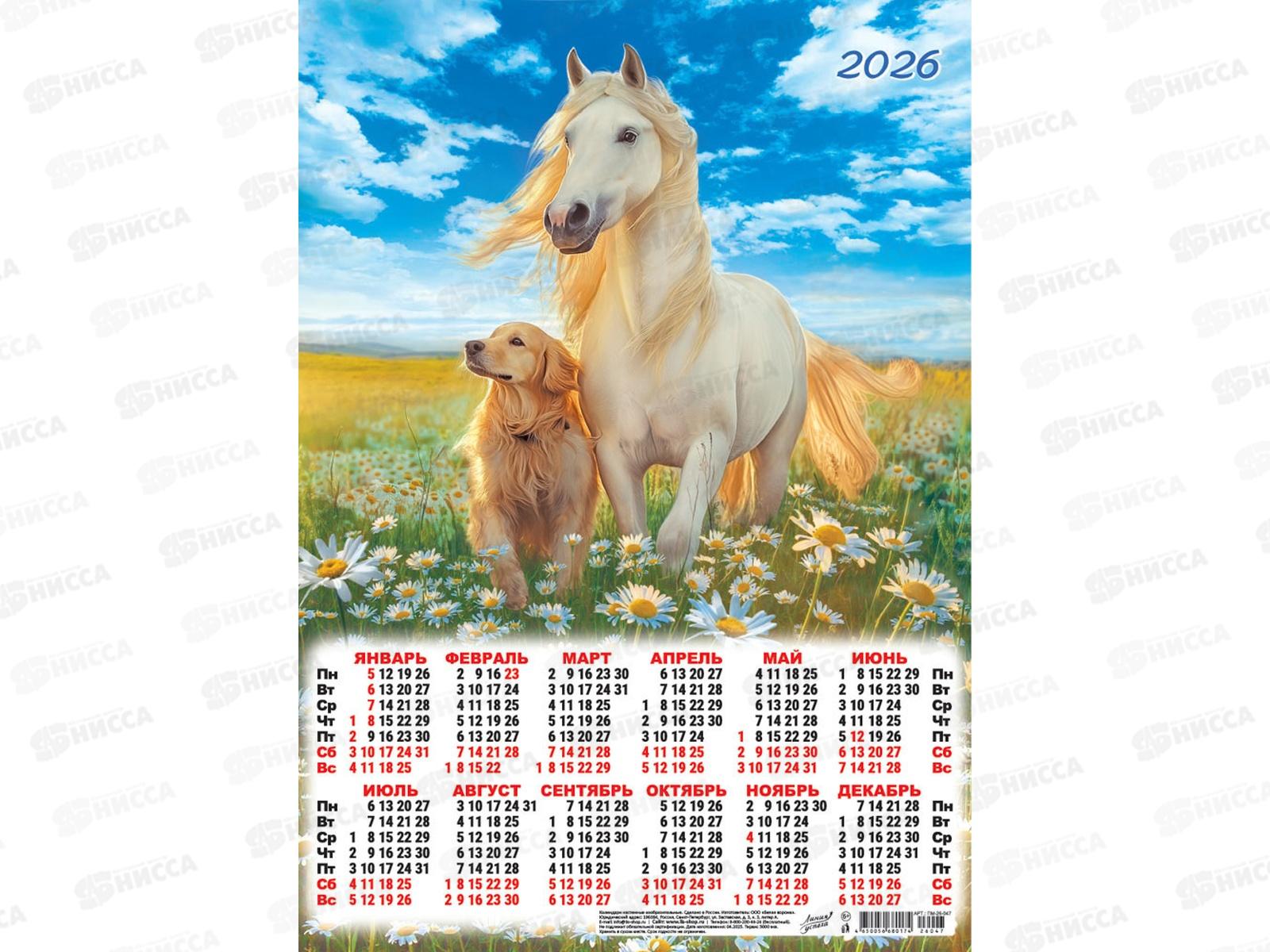 Календарь листовой 2026 А3 ЛиС Символ года. Прогулка в ромашках, *100