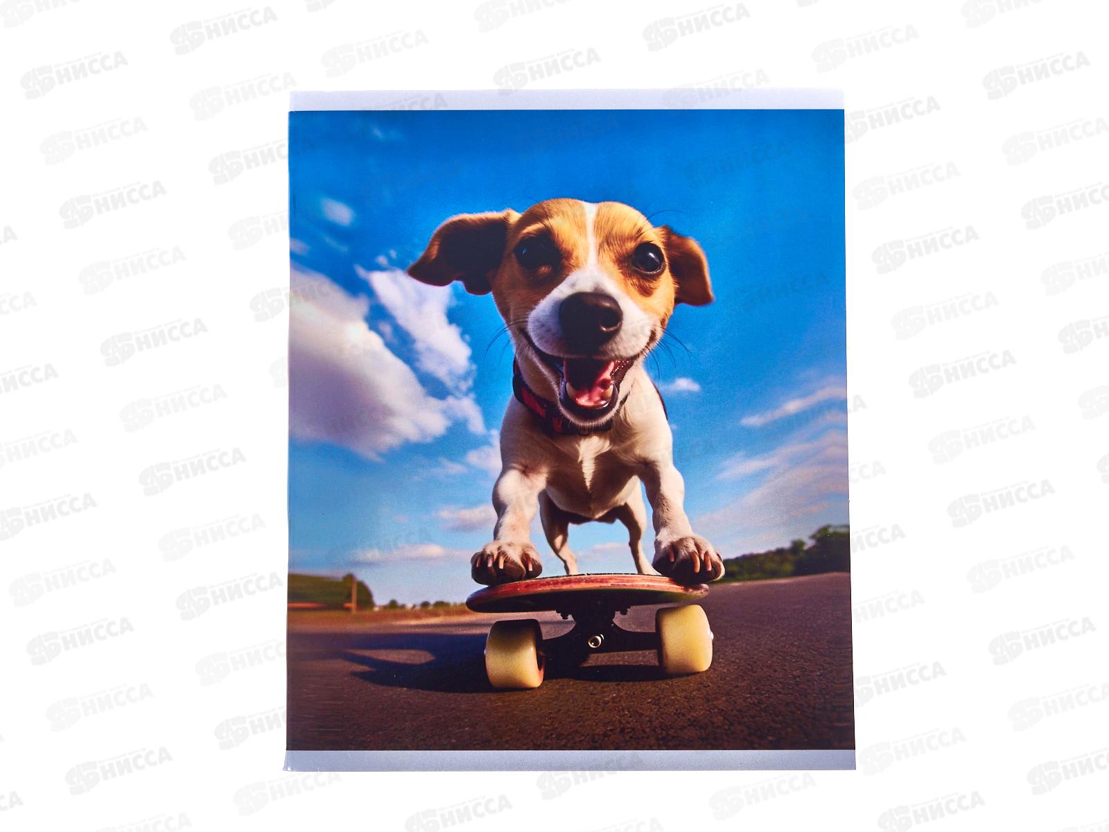 Тетрадь 48л кл. LAMARK Зверята на скейтах. на скобе 4824-26  *5/100