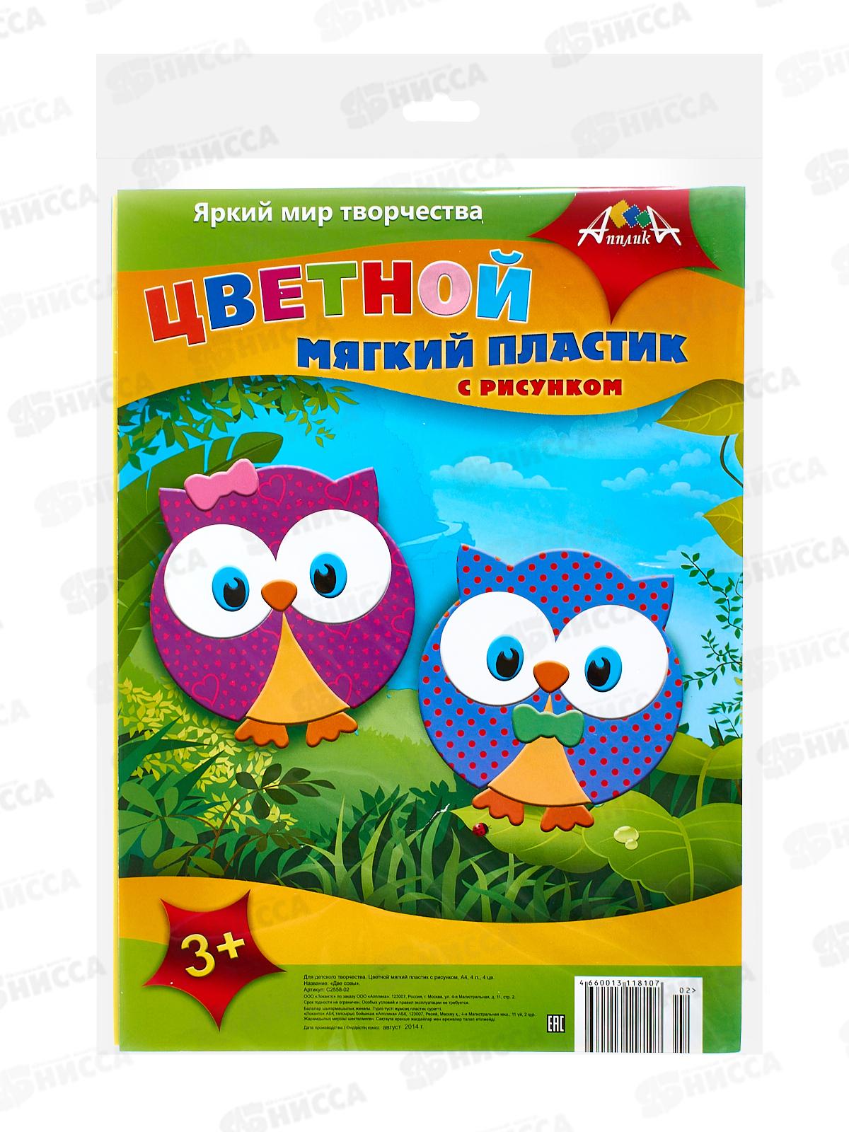 Цветной мягкий пластик 4цв Две совы С2558-02/30