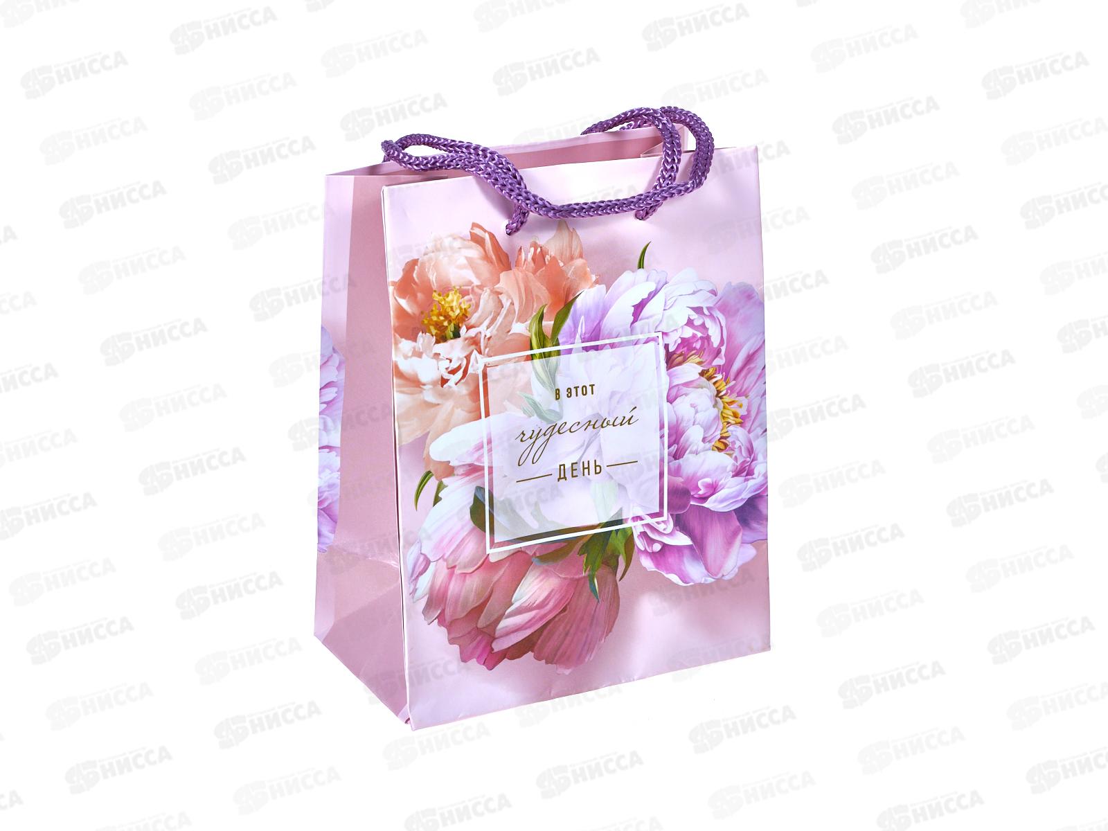 Пакет подарочный АД 11,5*14,5 0191.360 набор 6шт