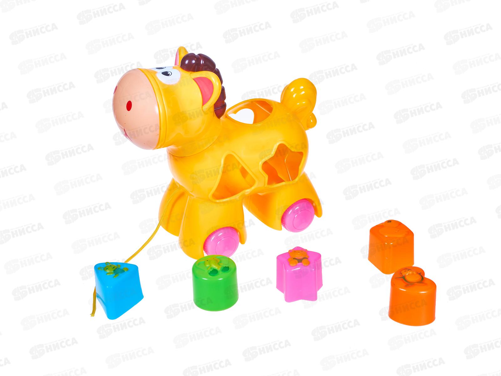 Каталка-сортер №5839 на веревочке, сетка 19,5*10*18,5см