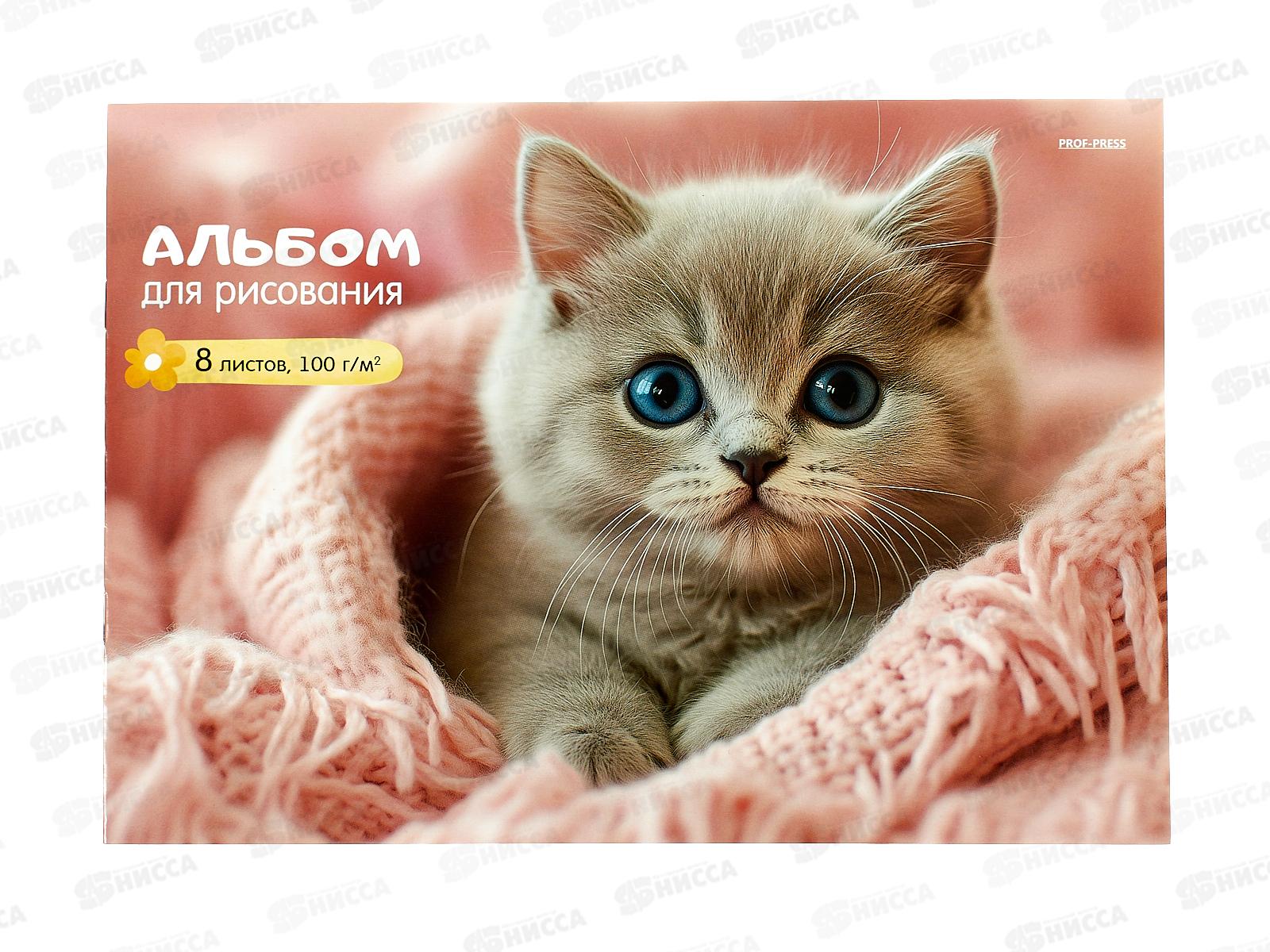 Альбом для рисования 8л ПП Котенок в розовом пледе, 08-7542 *10