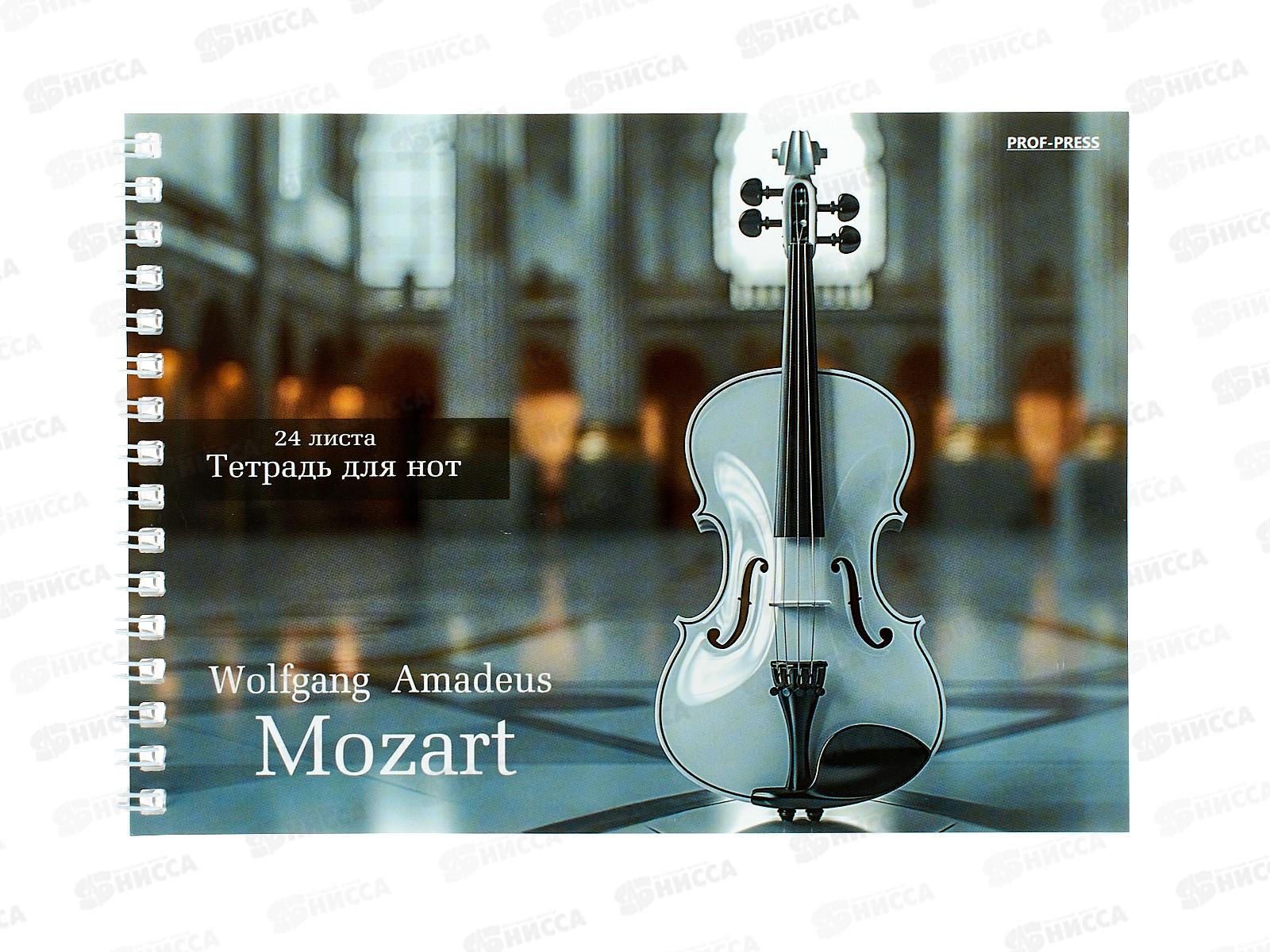 Тетрадь нотн. 24л ПП А5 Инструменты на репетиции, гребень, 24-1027