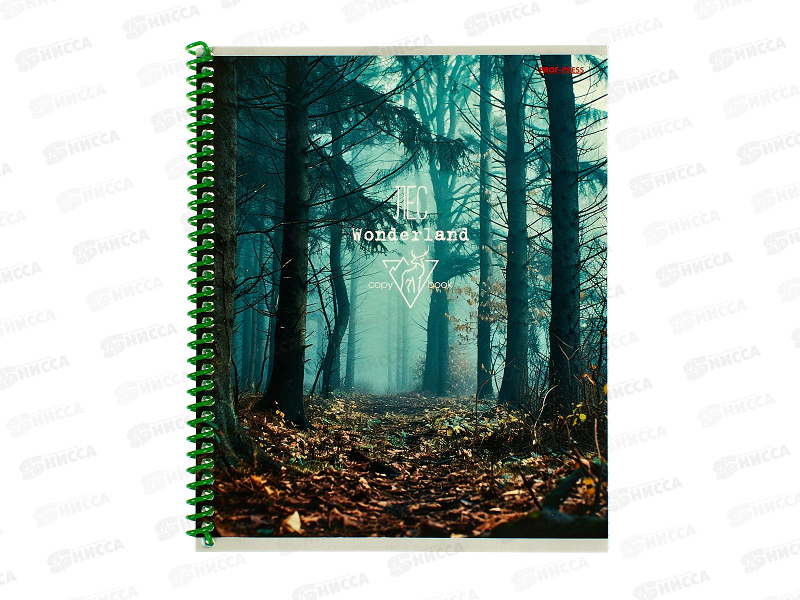 Тетрадь 48л клетка ПП Мистическая природа, гребень, 48-6497 *10/80