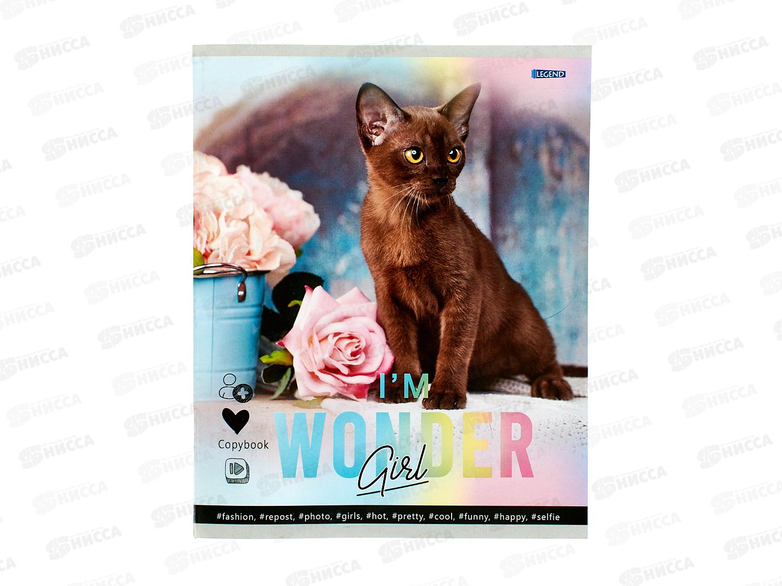 Тетрадь 48л клетка Legend Очаровательные котики, мел.обл., Т48-4363 *80