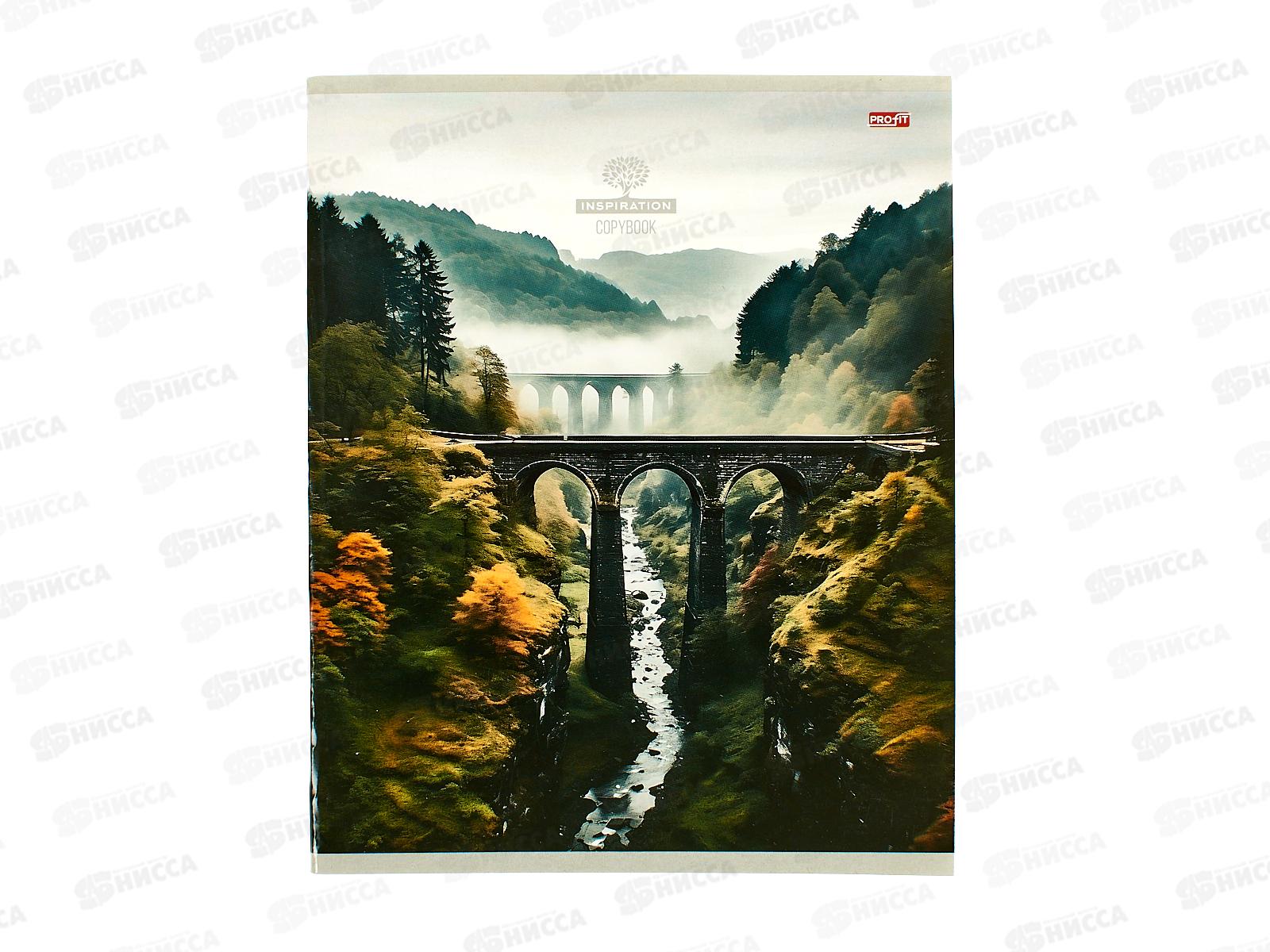 Тетрадь 48л клетка Profit Атмосферное виды, 48-5715  *10/100