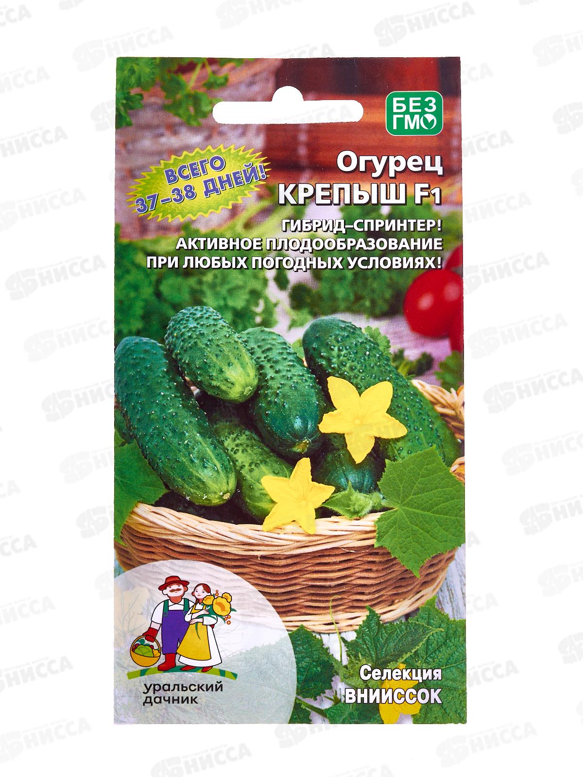 Огурец Крепыш F1 Евро  *10 УрД +