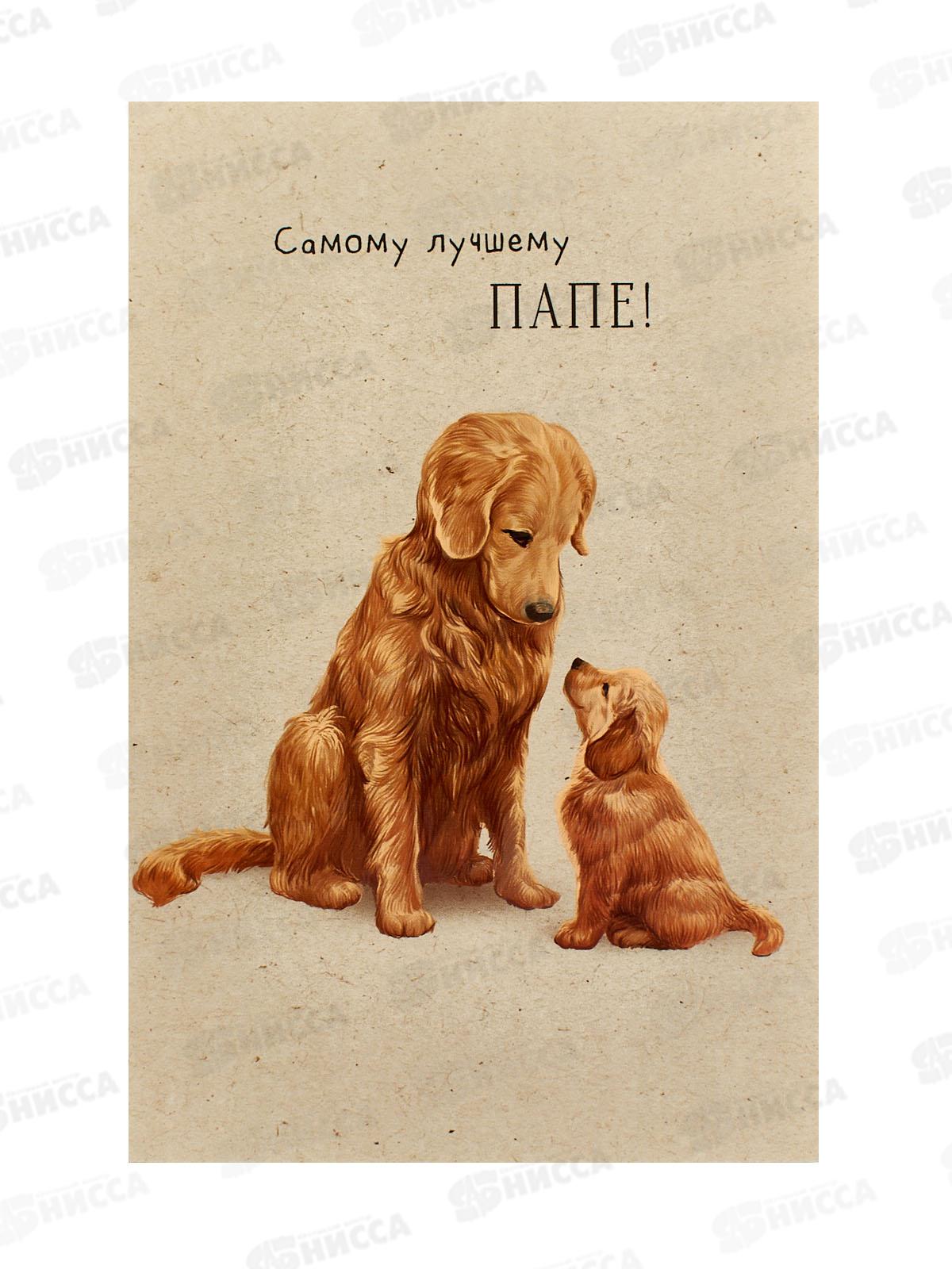 Открытка 121*183 Самому лучшему папе 0177.174