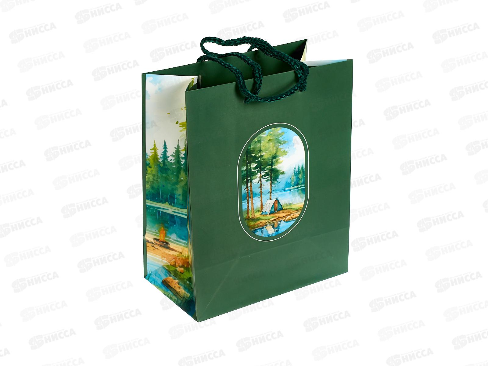 Пакет подарочный АД 18*22,3 0192.709