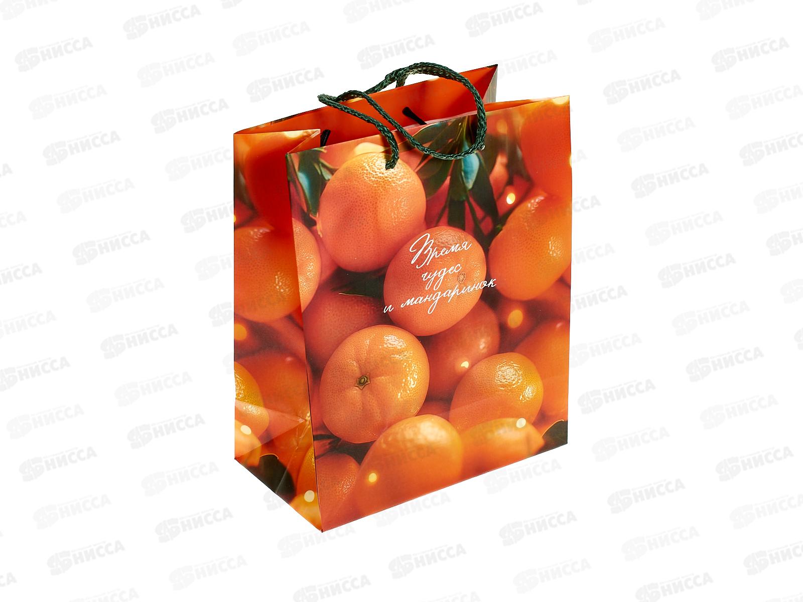 Пакет бум. подарочный НГ 18*22,3*10 0192.588