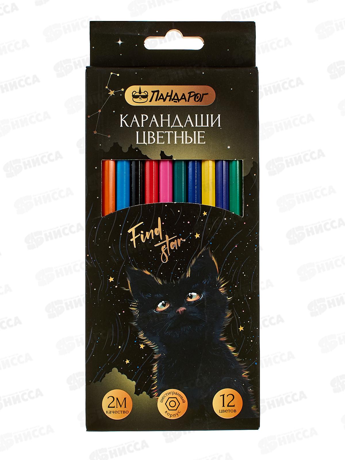 Карандаши 12цв ПандаРог &quotMystery cat" пластик, 15-7502 *12/240