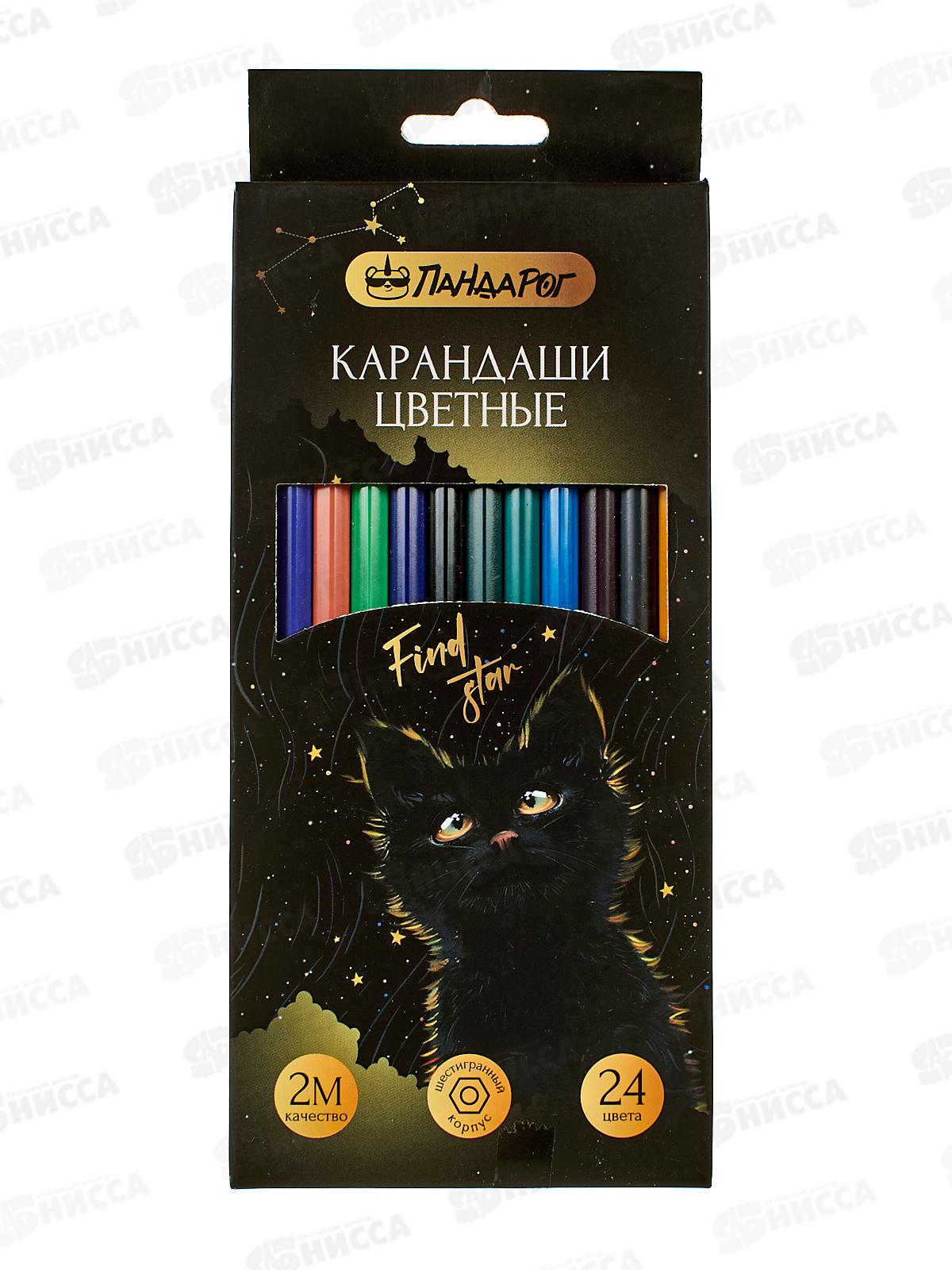 Карандаши 24цв ПандаРог &quotMystery cat" пластик, 15-7504 *6/120