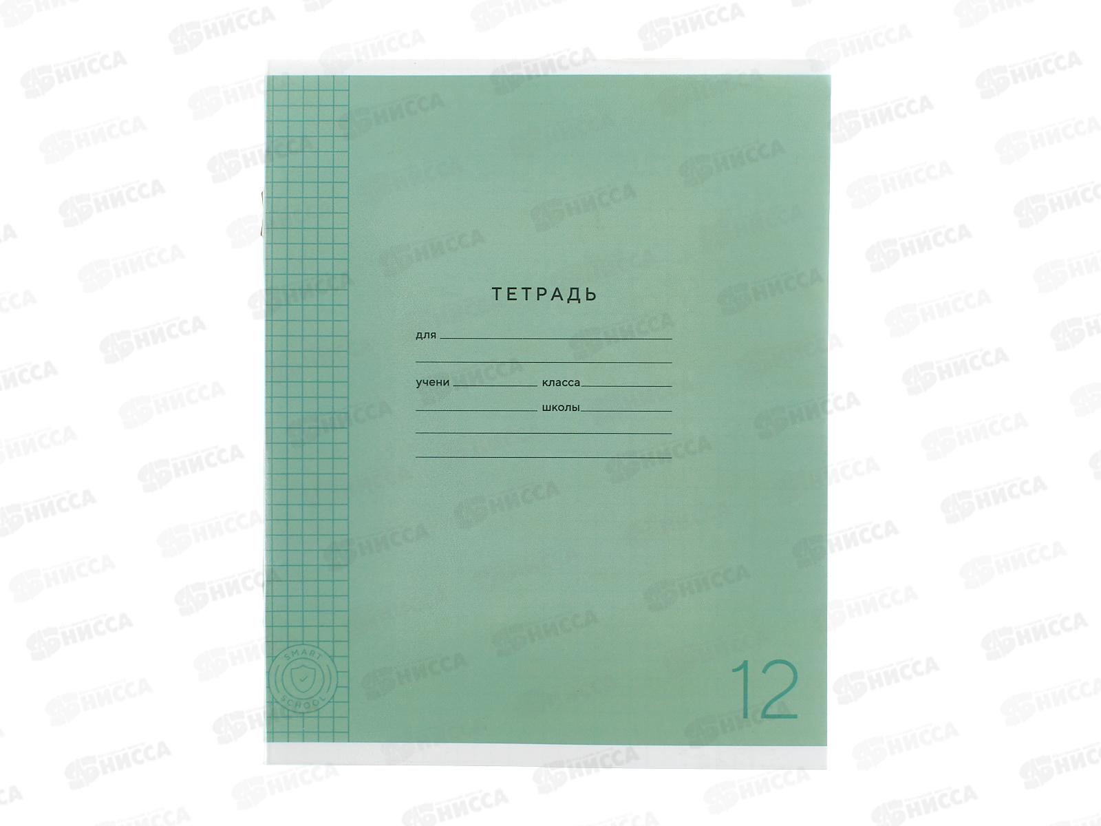 Тетрадь 12л клетка ПандаРог, плас. прозр. обложка, зеленая, 15-7872  *120