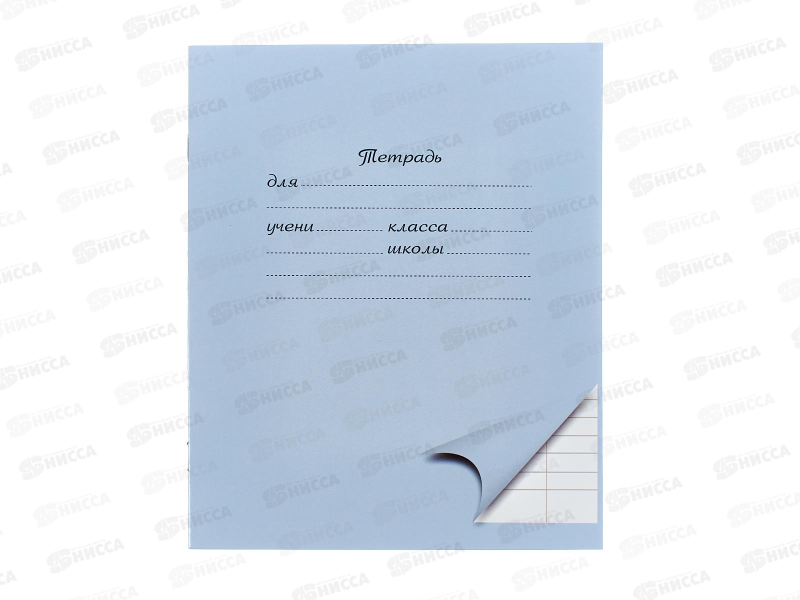 Тетрадь 12л линия ПандаРог, голубая, 15-3704  *300