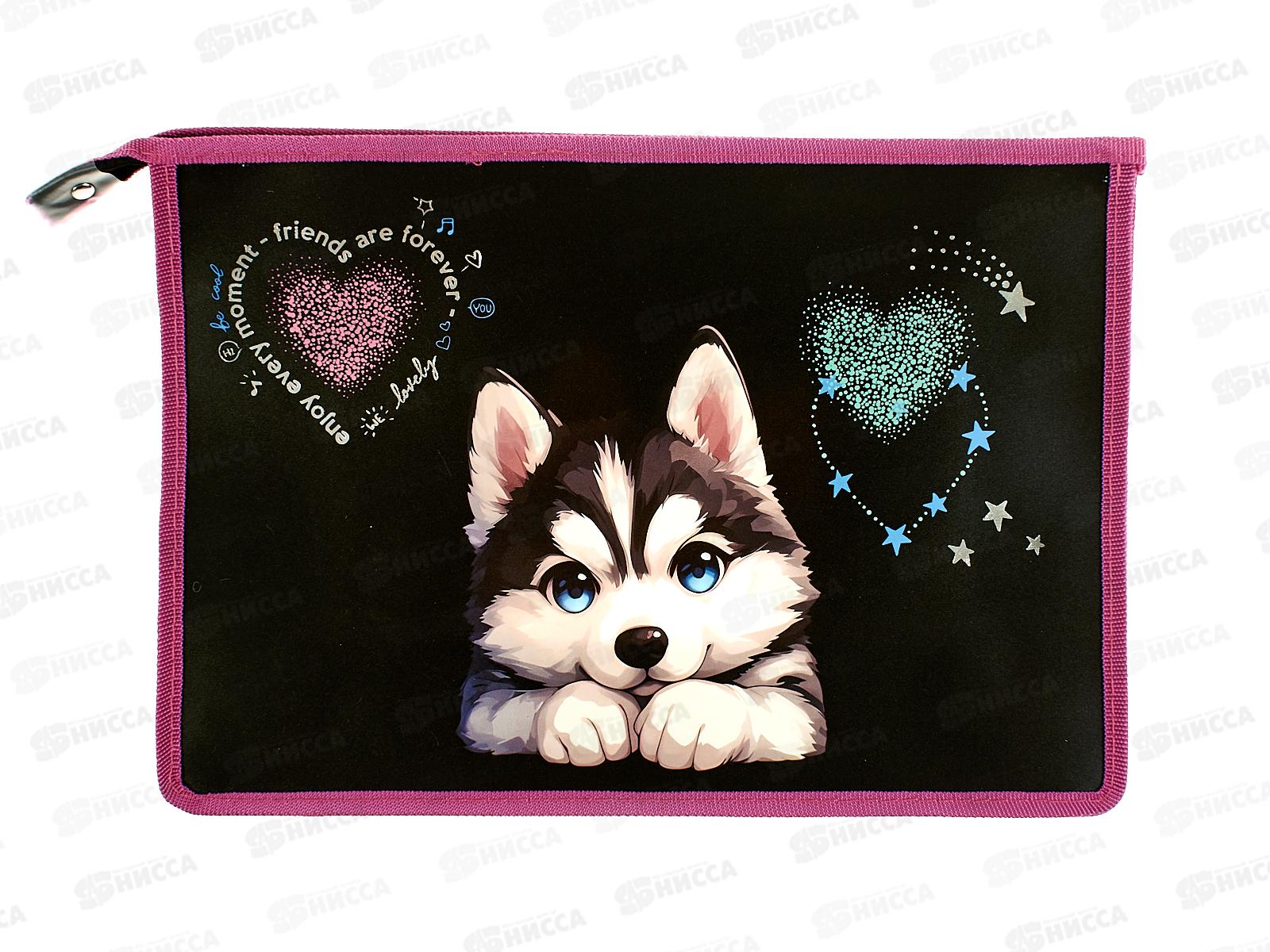 Папка д/тетр. deVente Cute Husky A4 молн., с расширением 8056542 *12