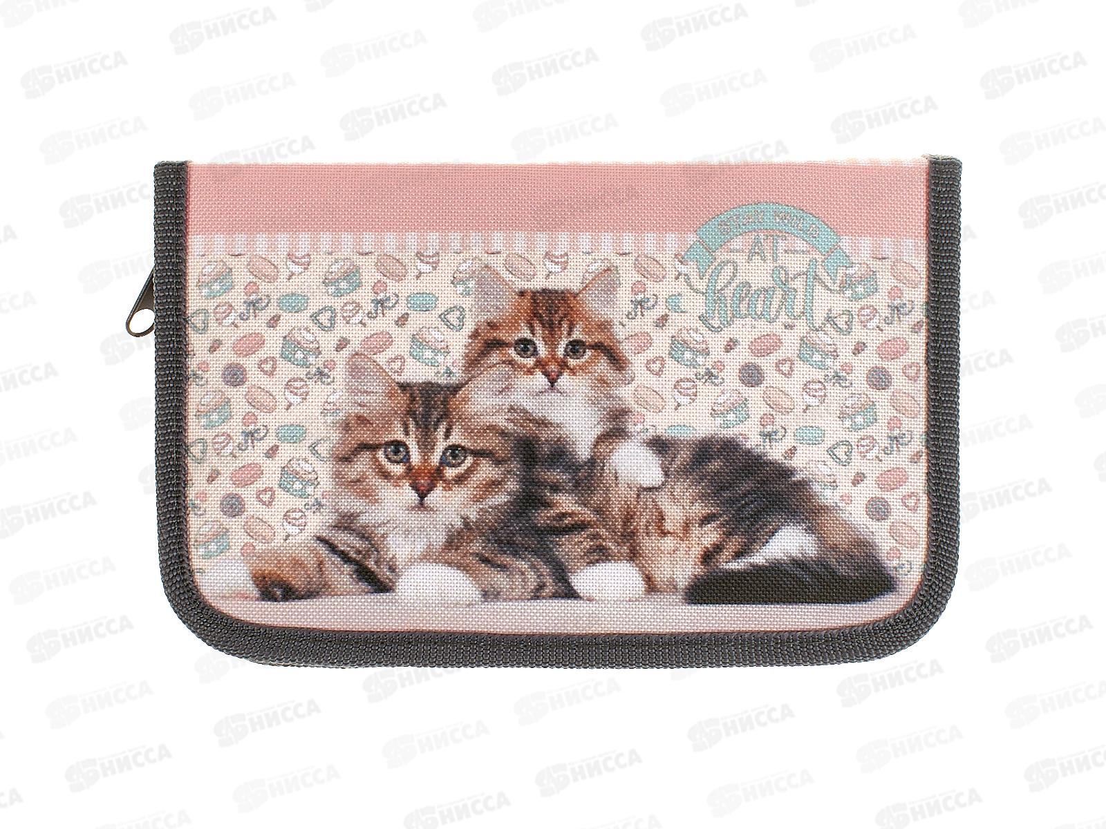 Пенал ПП Два котенка 1отд 190*115 АН-1962  *60