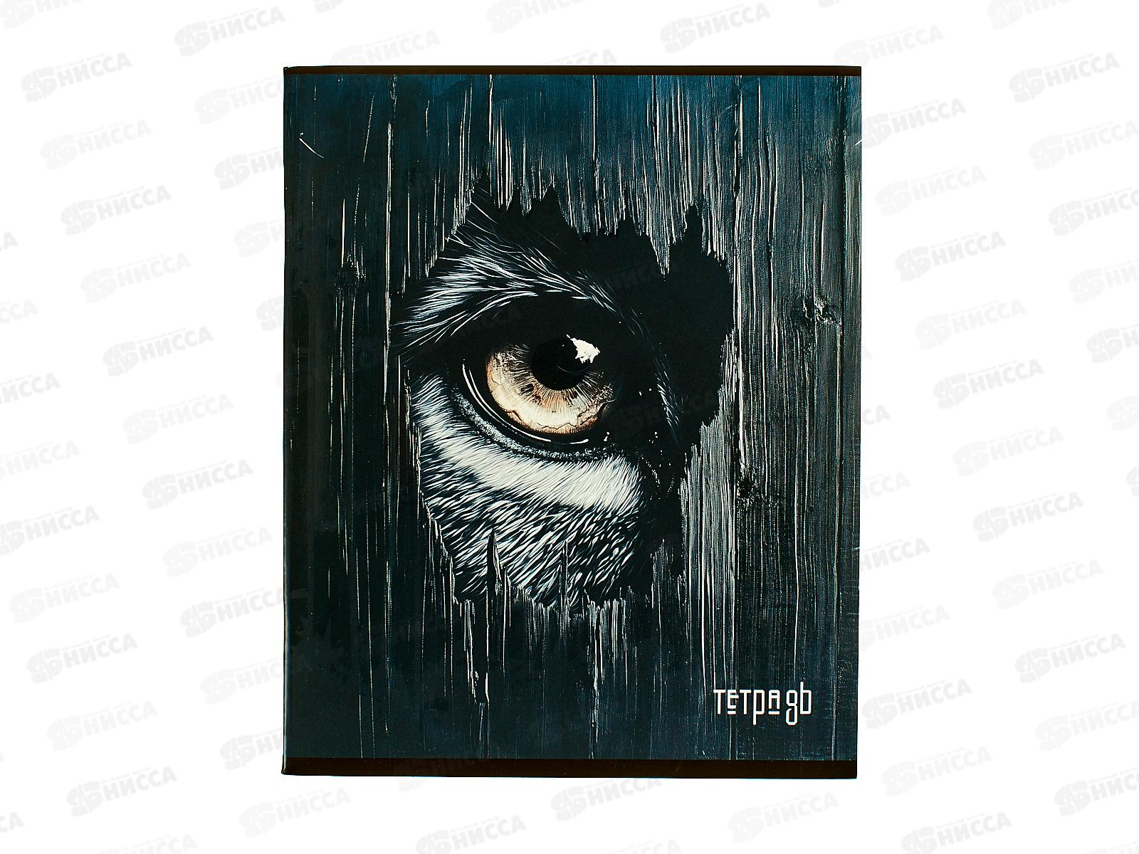 Тетрадь 48л кл. Апплика Взгляд С9599-08*80