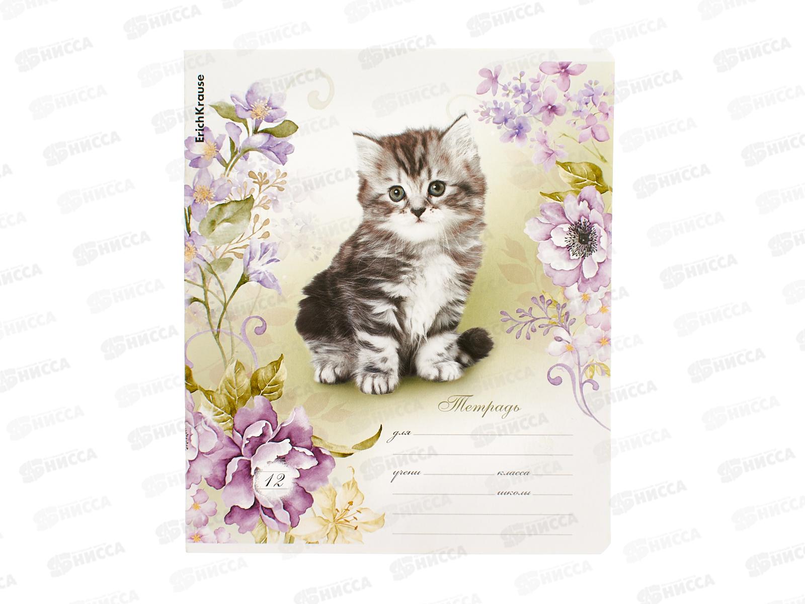 Тетрадь 12л лин. ПОЛИ Мурзики, 48821 *10/280