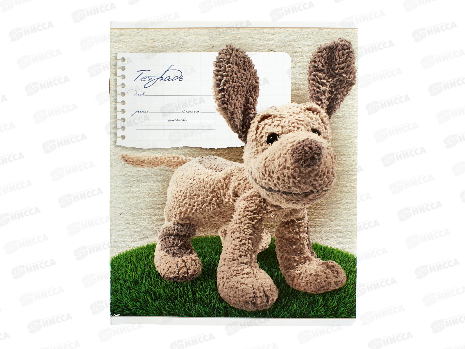 Тетрадь 12л лин. ПЗБМ Максик и Миша ,018676*20/120