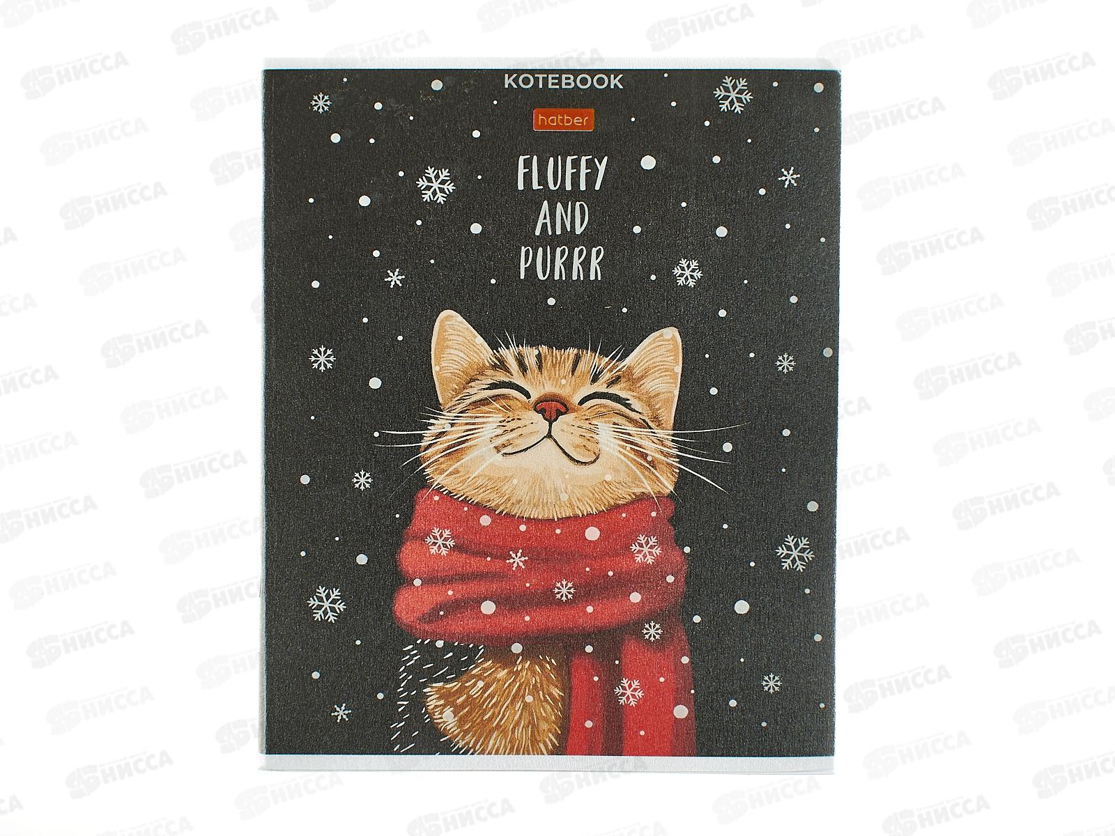 Тетрадь 48л лин. Hatber Котэ,091627*5/60