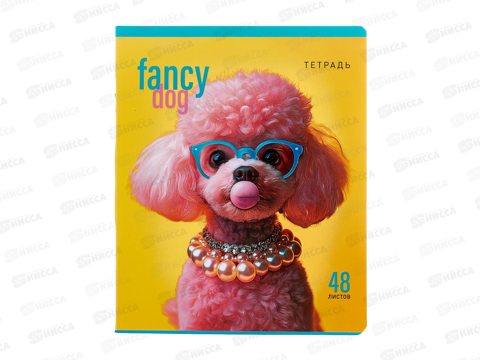 Тетрадь 48л кл. ПЗБМ Модные зверюшки,021498*5/50