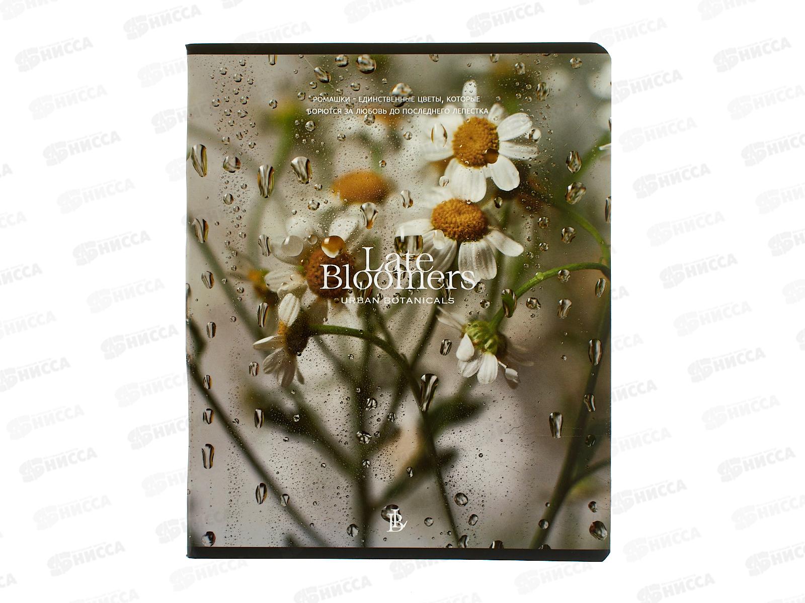 Тетрадь 48л кл. ПЗБМ Под стеклом,021450*5/50