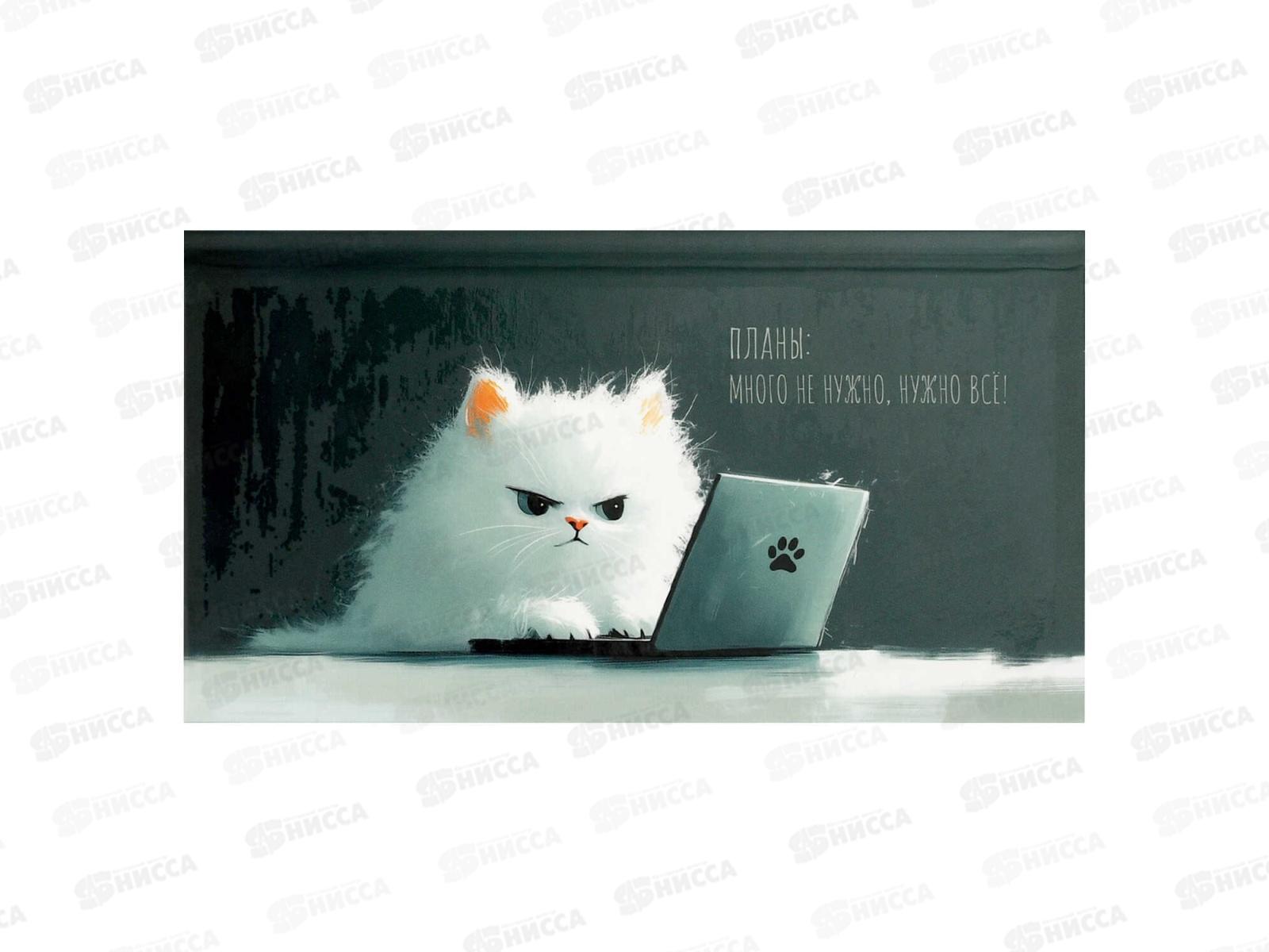 Еженедельник ФЕН недат.,64л, Кот с ноутбуком,71561*45