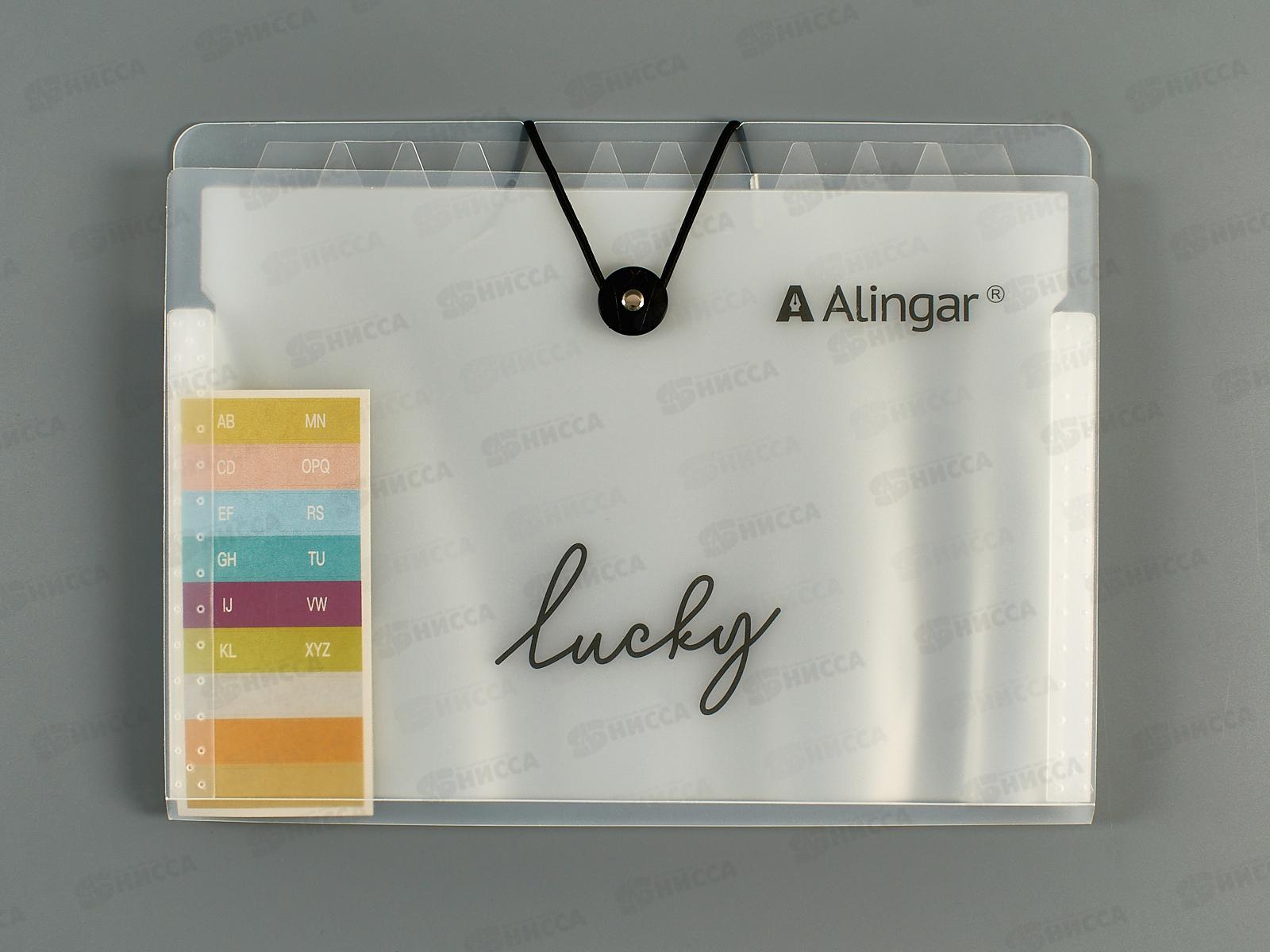 Папка на резинке Alingar A4 Lucky C  AL11379