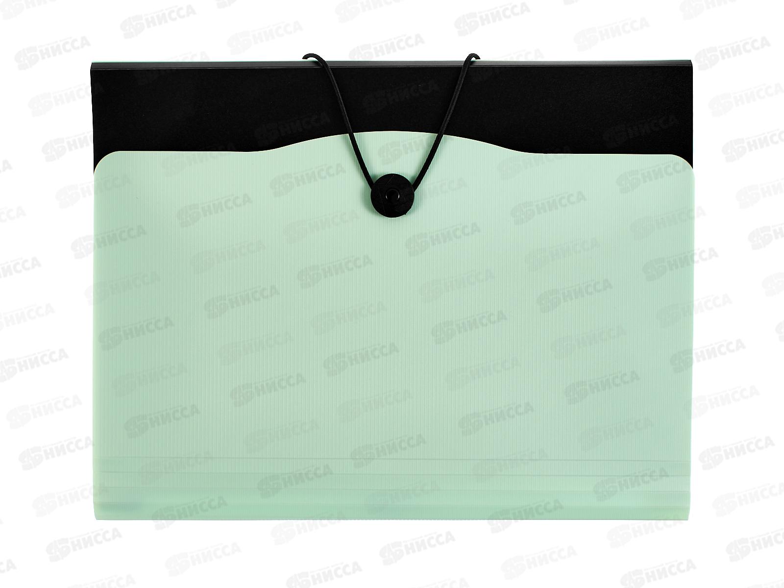 Папка-картотека А4  Alingar 13отд.мятный клапан,AL12822