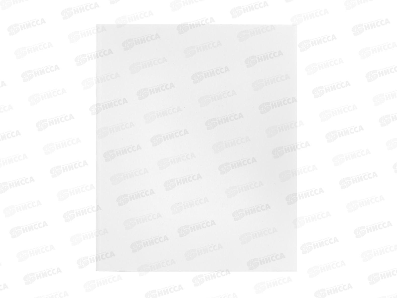 Тетрадь 48л кл. Hatber Soft Арктический белый*4