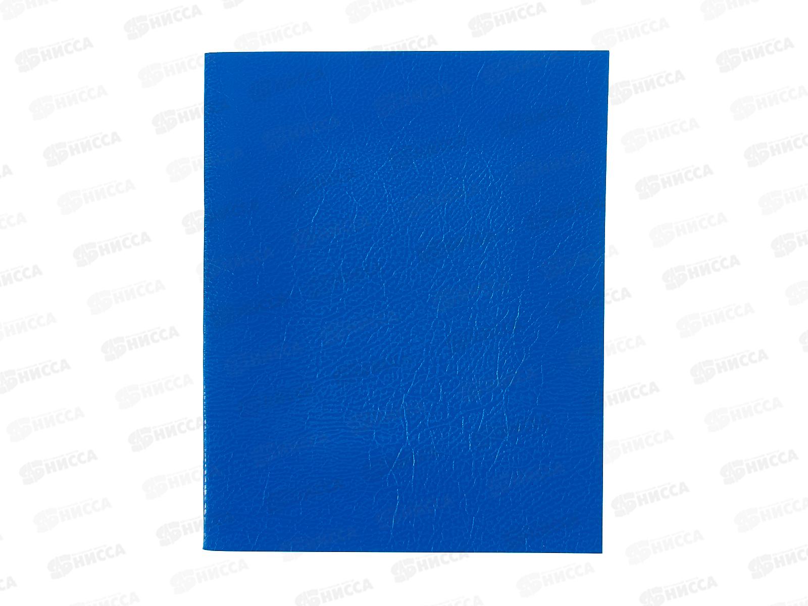 Тетрадь 48л лин. BG б/в син.,12317*4/56