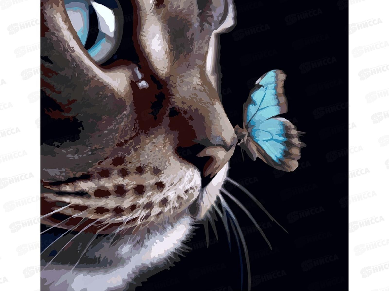 Холст с красками 40х40см Кот и бабочка, Х-5626