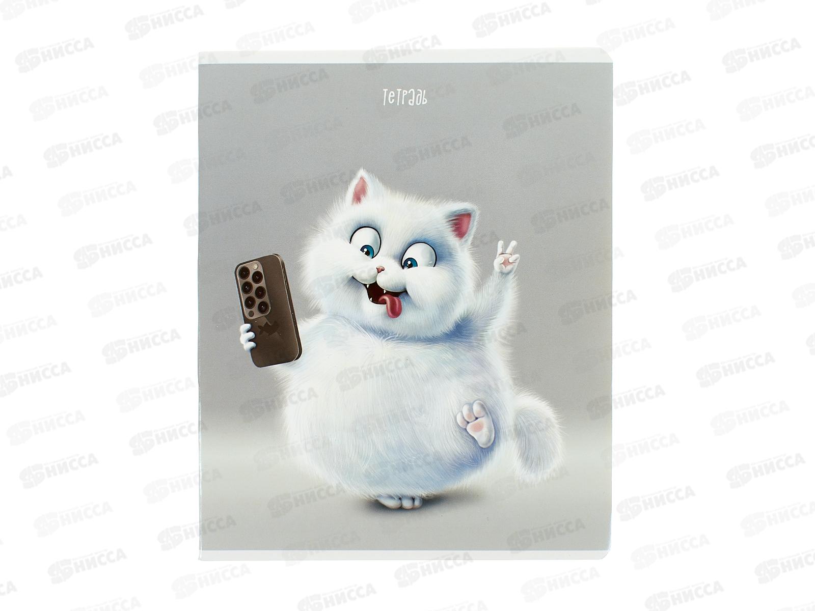 Тетрадь 48л кл. ФЕН Кот с телефоном. 68577 *5/50