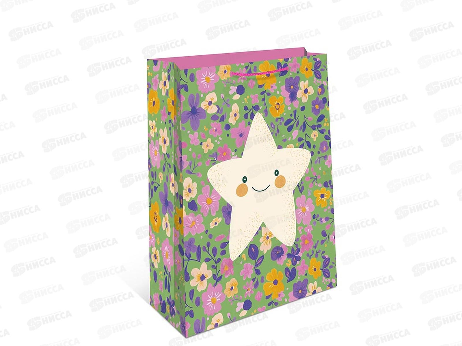 Пакет подарочный АД 11,5*14,5 0191.719