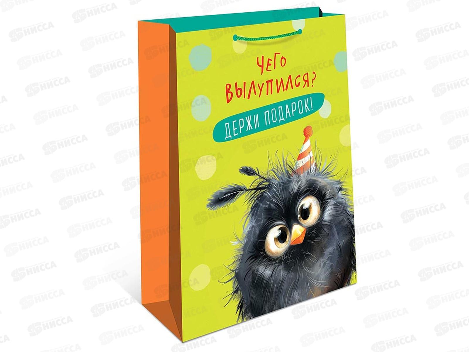 Пакет подарочный АД 18*22,3 0192.691