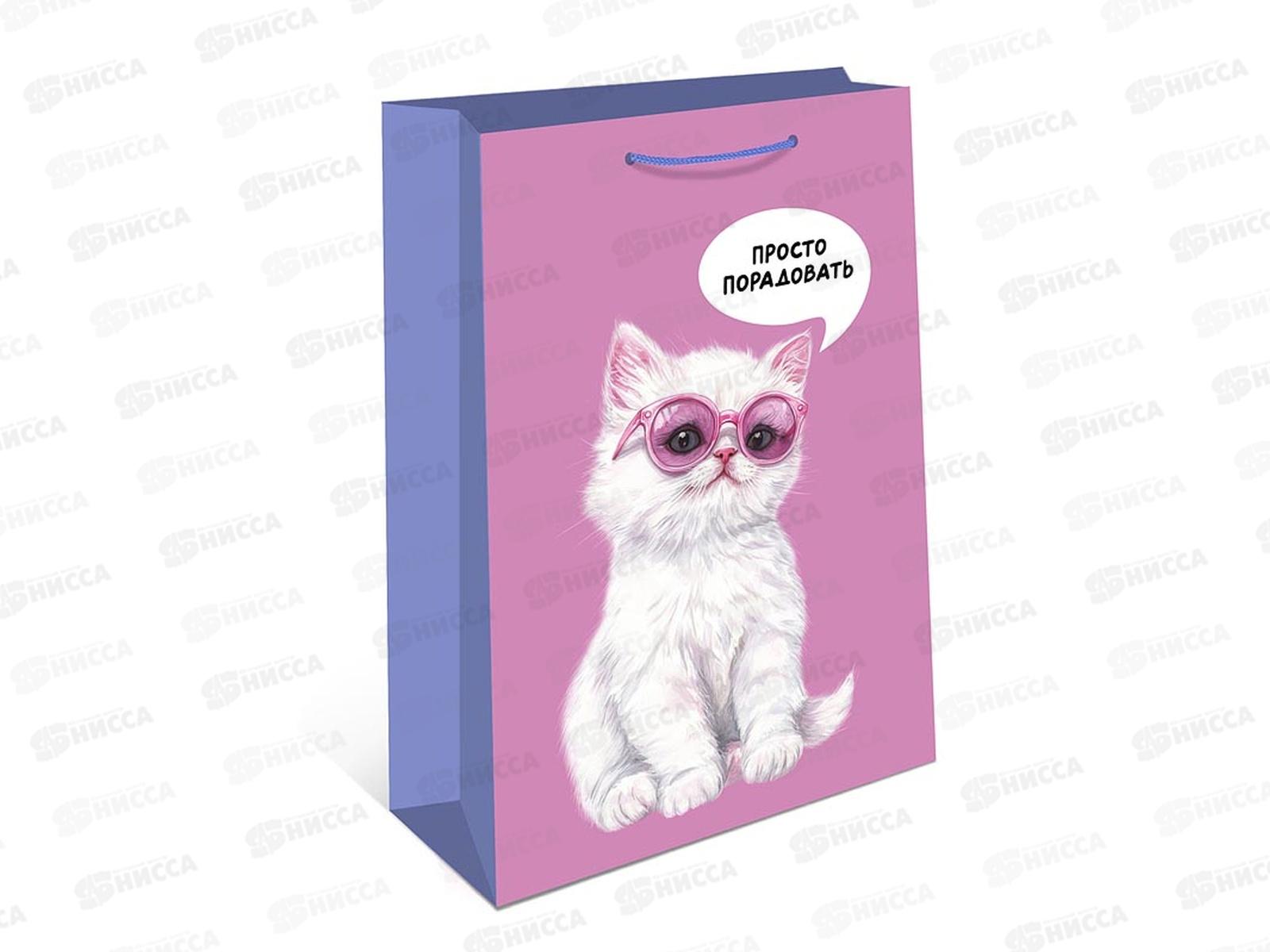 Пакет подарочный АД 18*22,3 0192.698