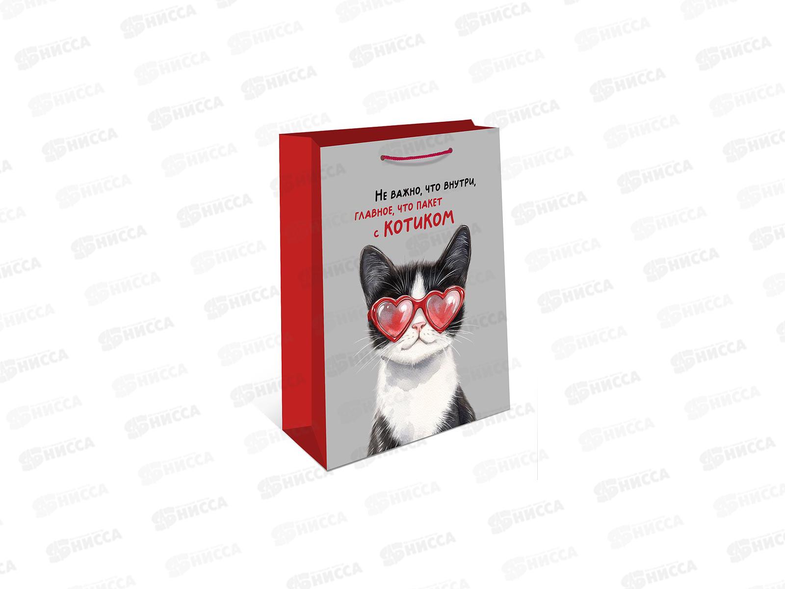 Пакет подарочный АД 26*32 0193.697