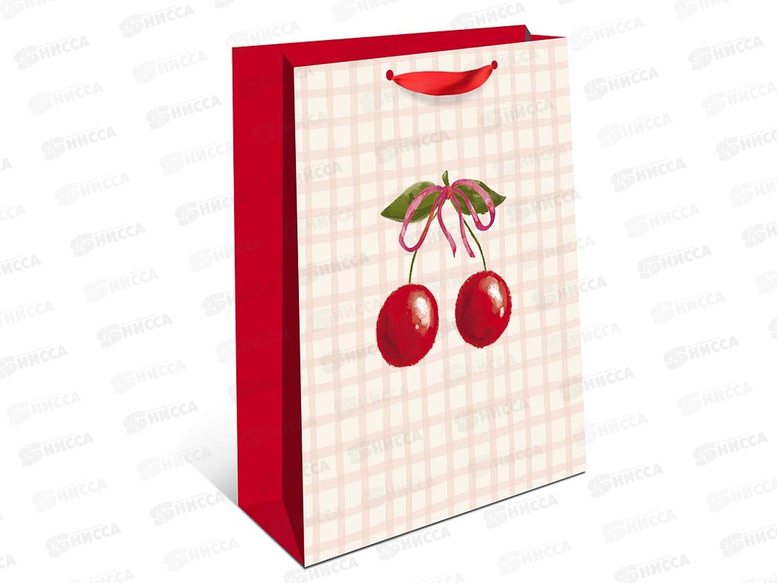 Пакет подарочный АД 18*22,3 Стандарт плюс 2311.020