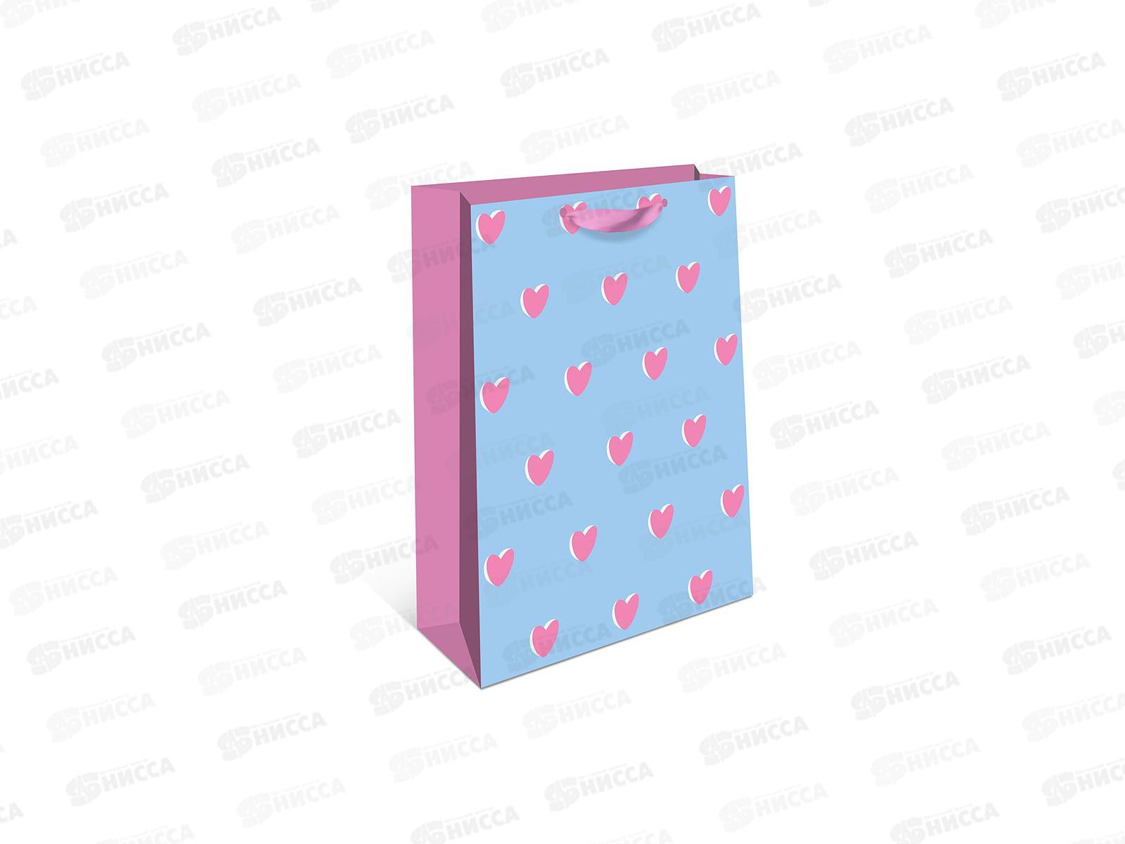 Пакет подарочный АД 18*22,3 Стандарт плюс 2312.025