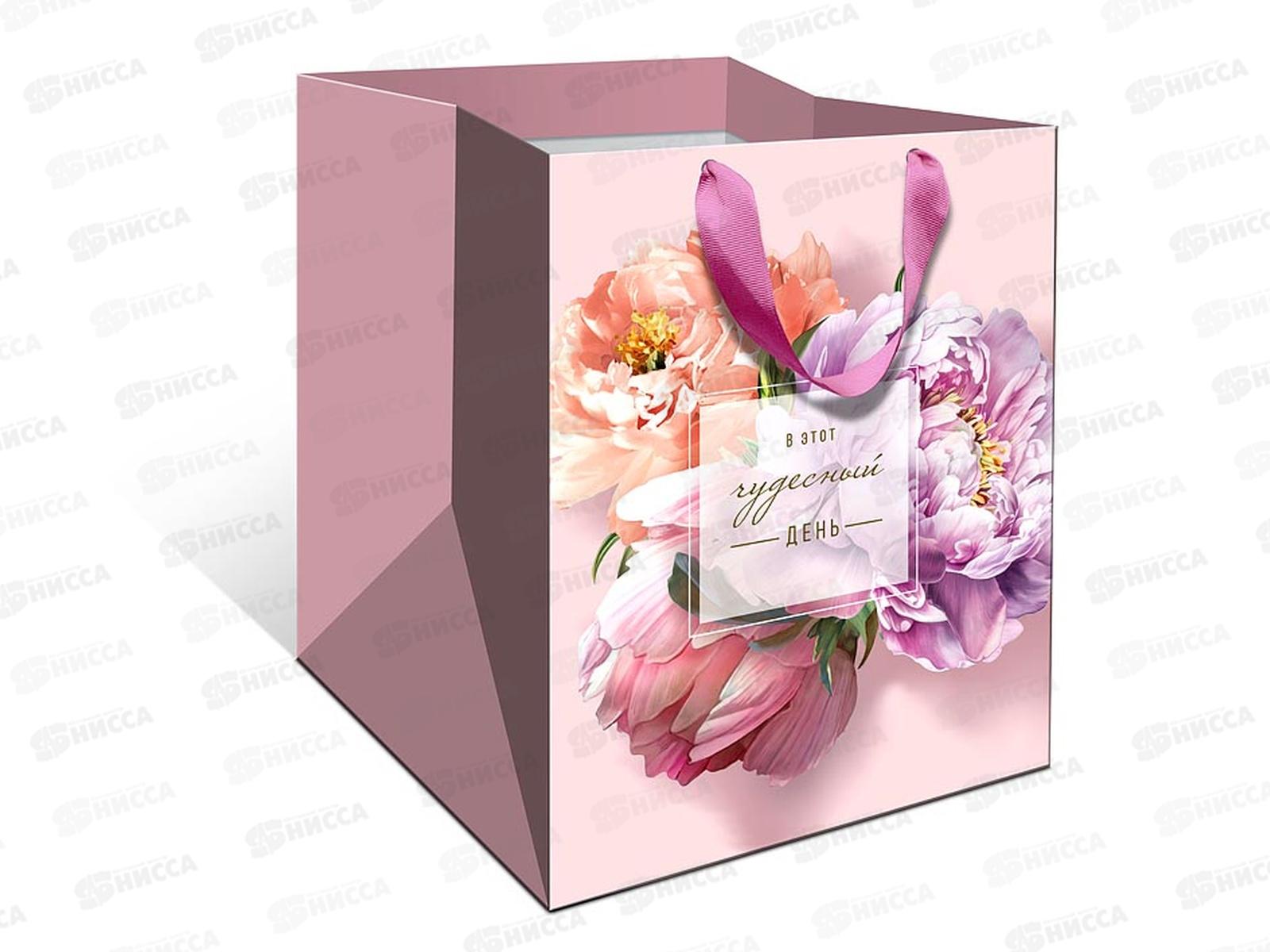 Пакет подарочный АД 25*30*25 Стандарт плюс 1324.848