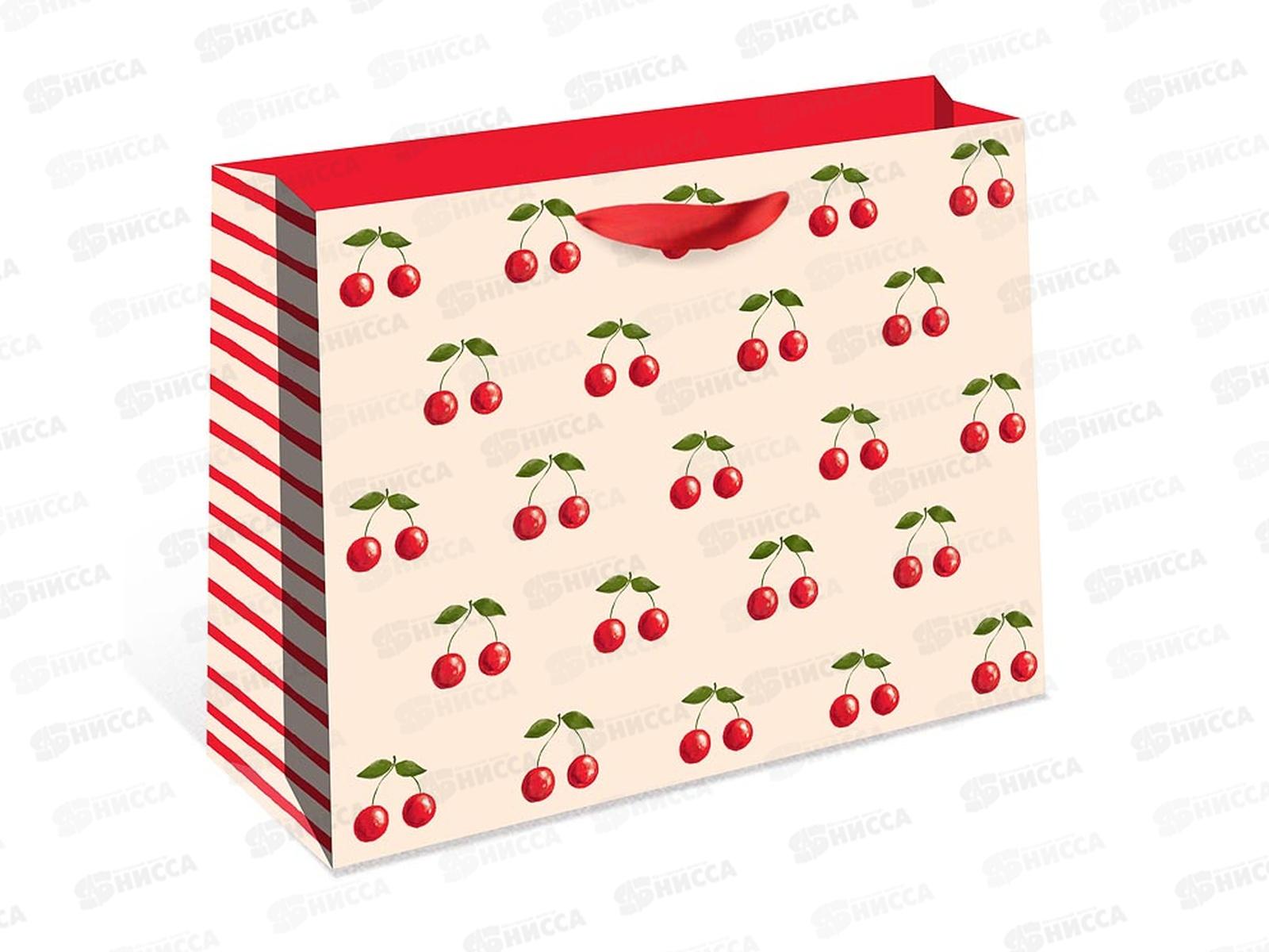 Пакет подарочный АД 50*40*15 Стандарт плюс 2326.022