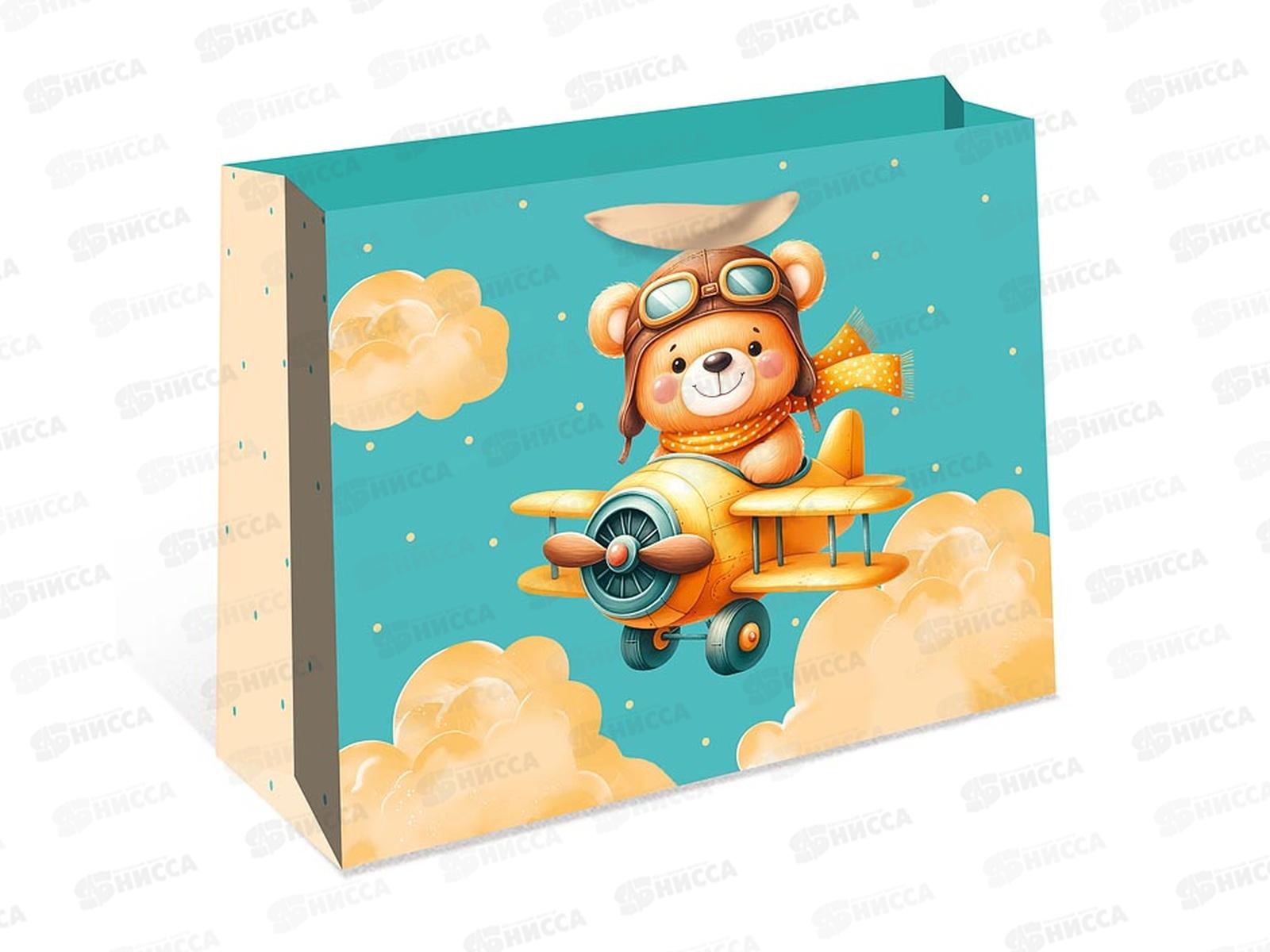 Пакет подарочный АД 50*40*25 Стандарт плюс 2327.070