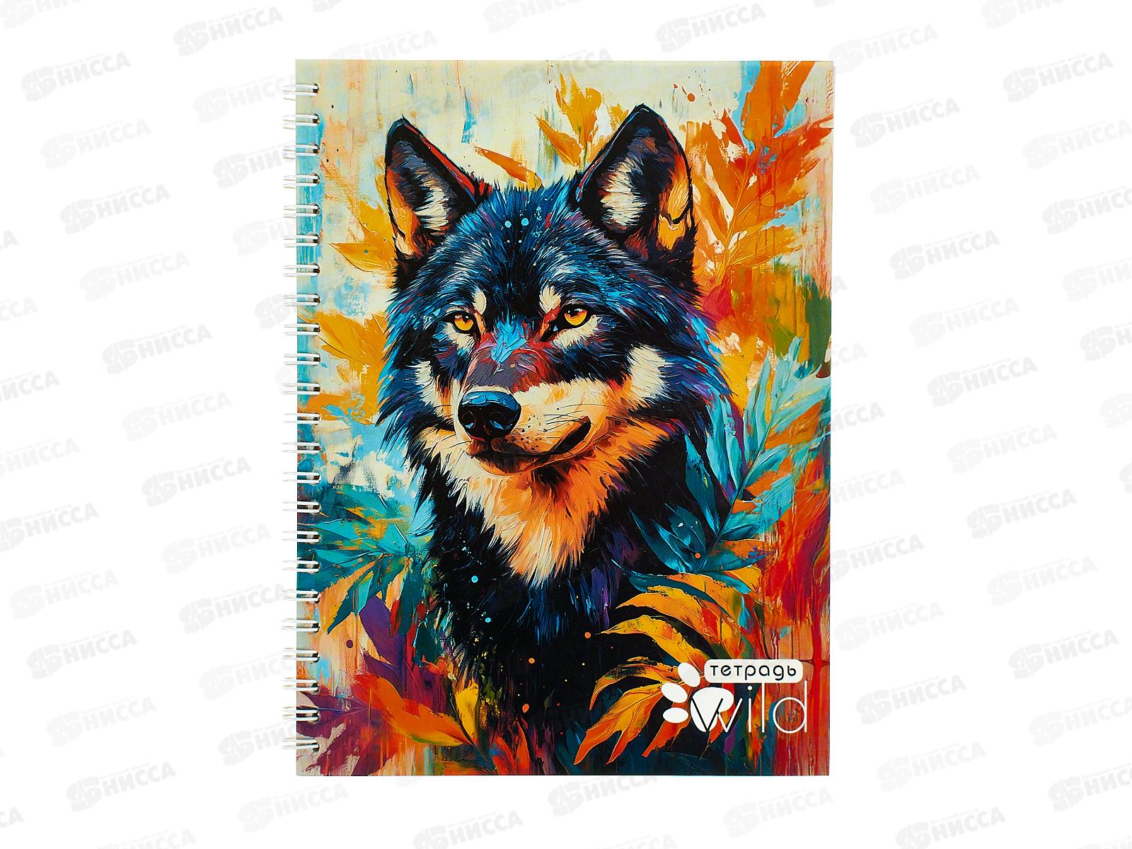 Тетрадь 80л кл. Апплика Волк,греб.С0062-07*52