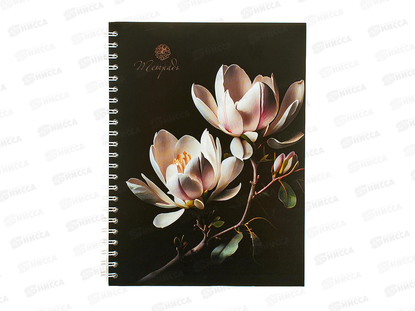 Тетрадь 80л кл. Апплика Магнолия,греб.С0062-01*52