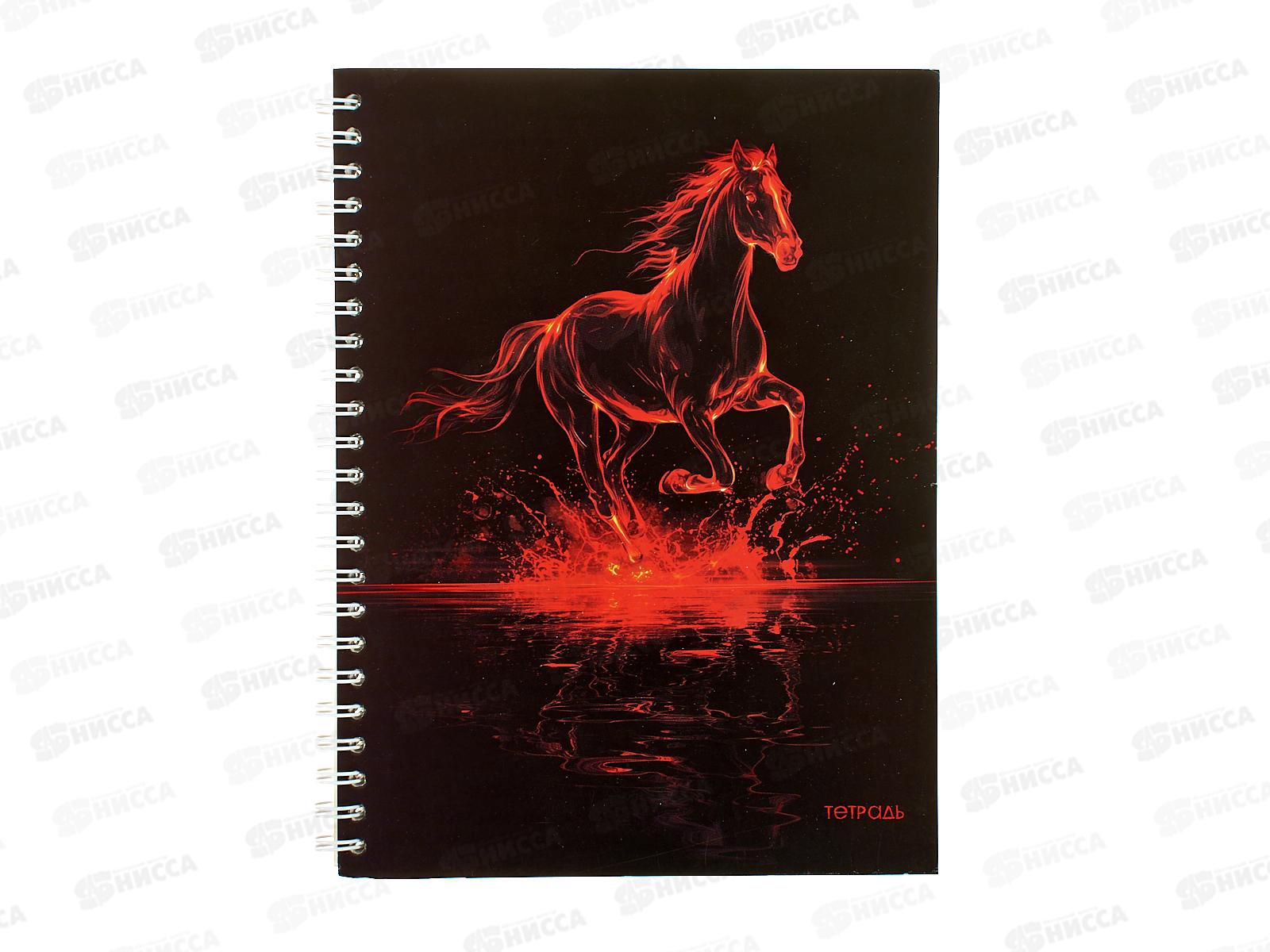 Тетрадь 80л кл. Апплика Огненный конь,греб.С0062-06*52