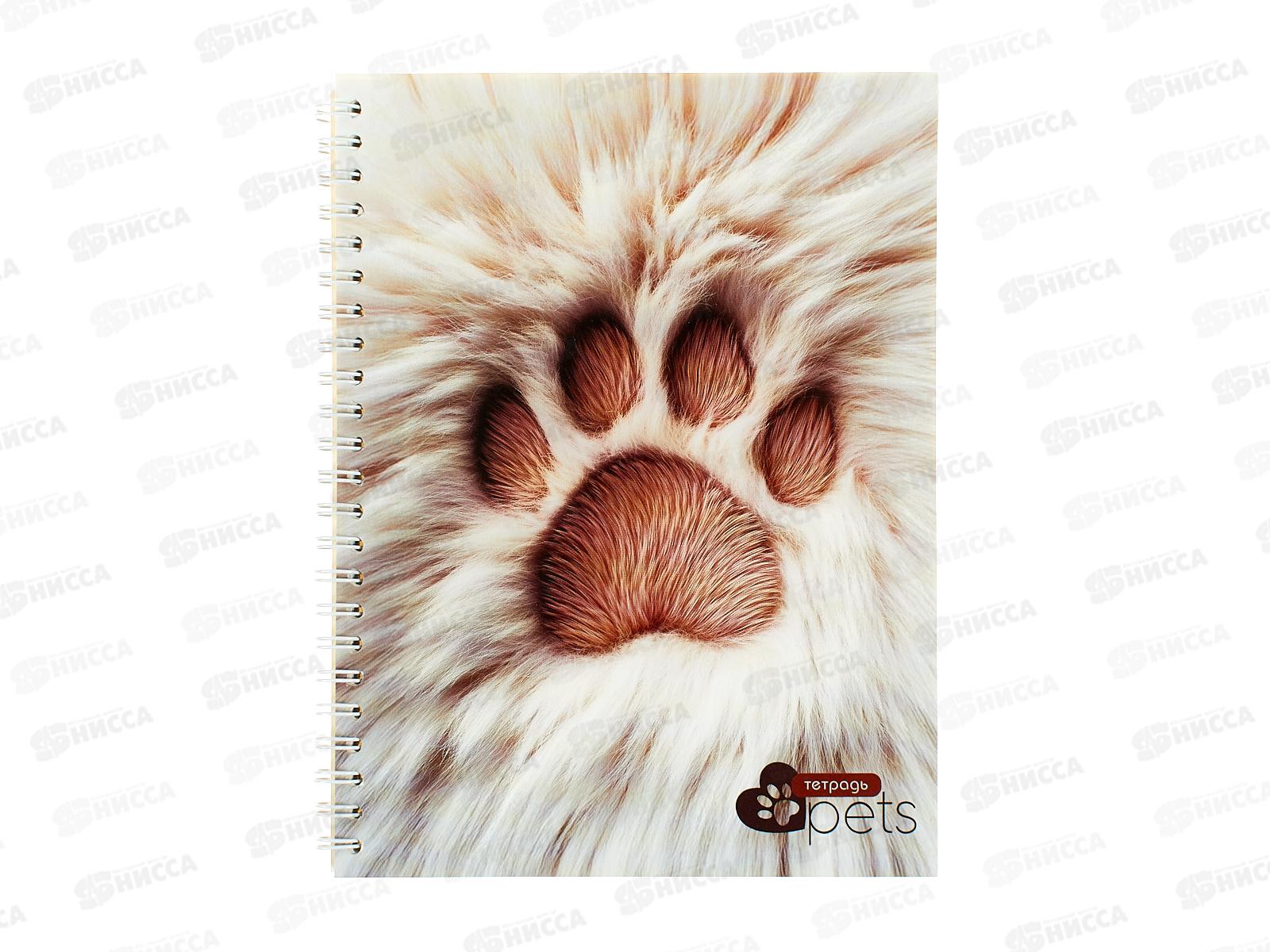 Тетрадь 80л лин.Апплика Пушистая лапка,греб.С0063-06*52