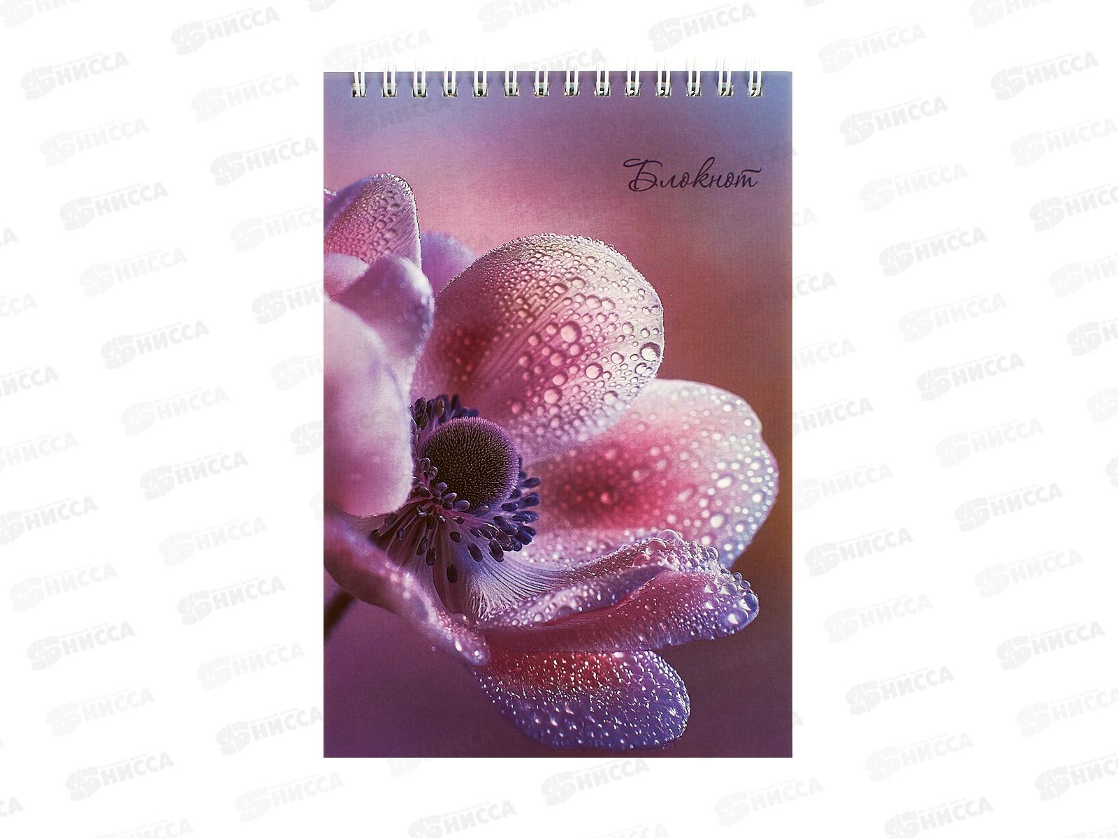 Блокнот 80л А5 Апплика, Красвый цветок, С4170-41*80