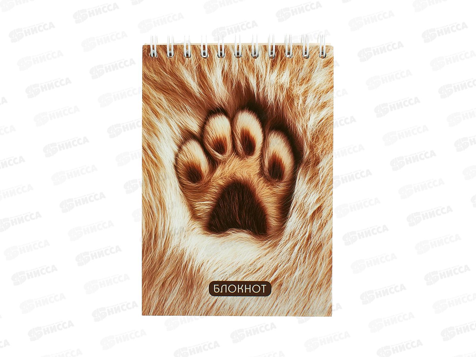 Блокнот 80л А6 Апплика, на греб., Меховая лапка, С4173-109 *80